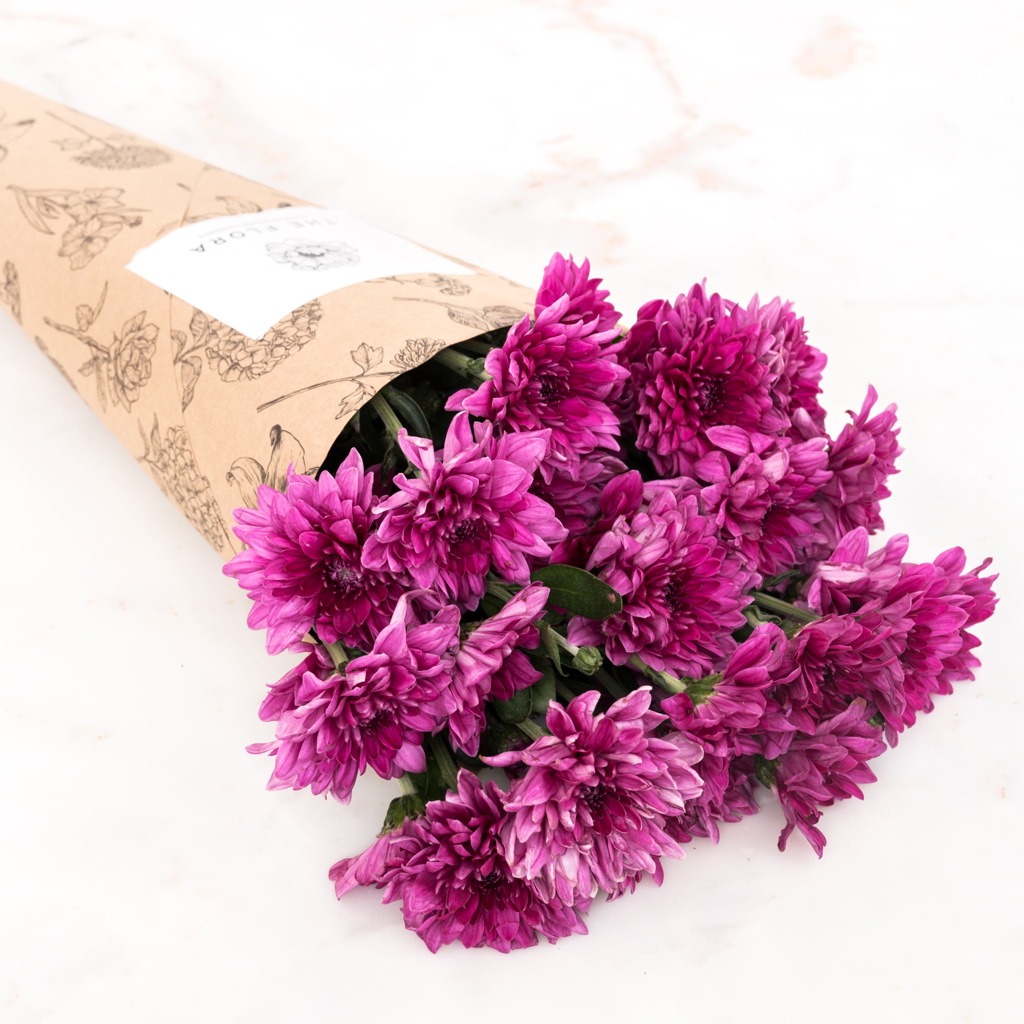 Chrysanthemum