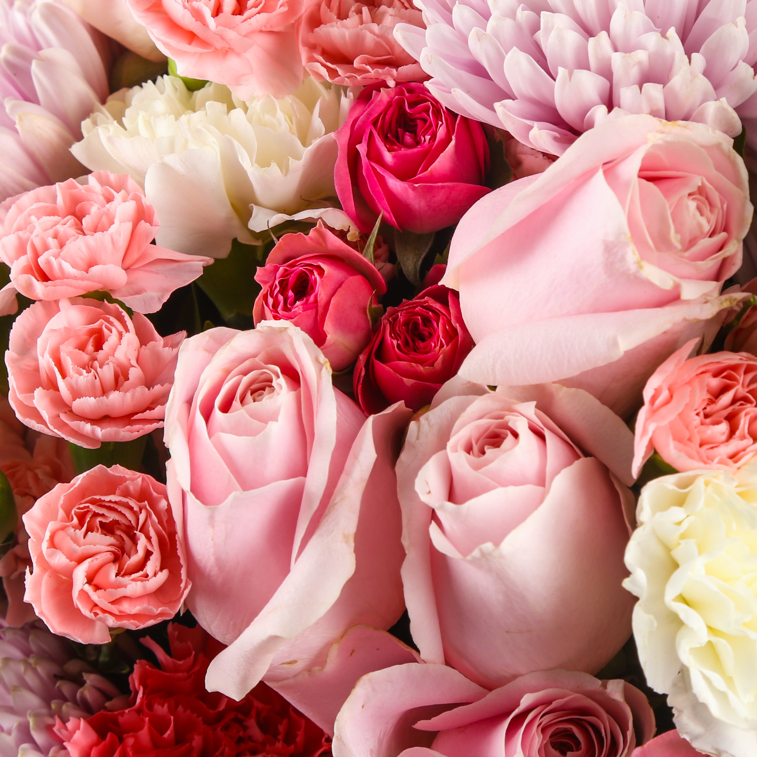 Spring Lustre