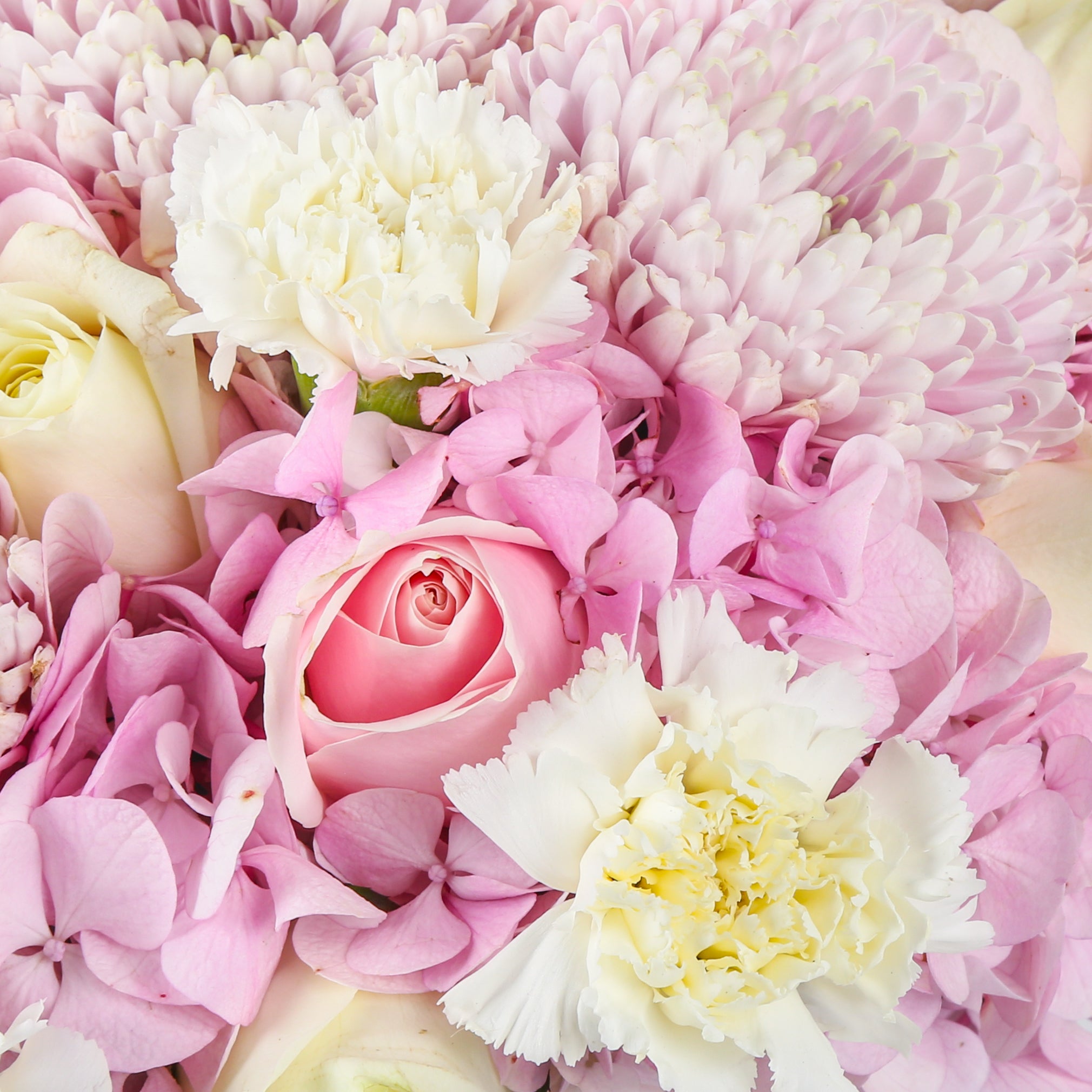 Floral Amour