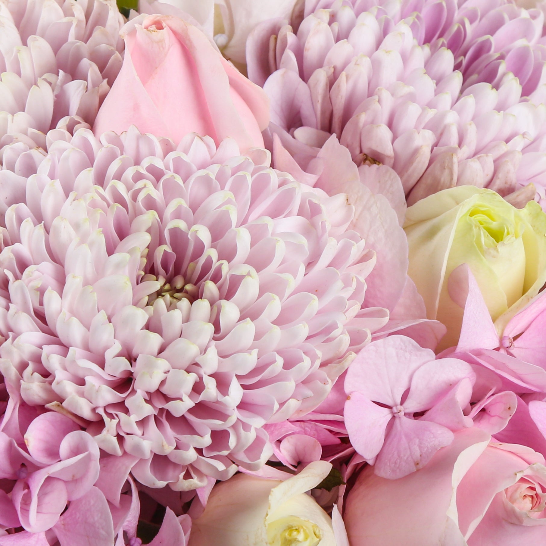Floral Amour