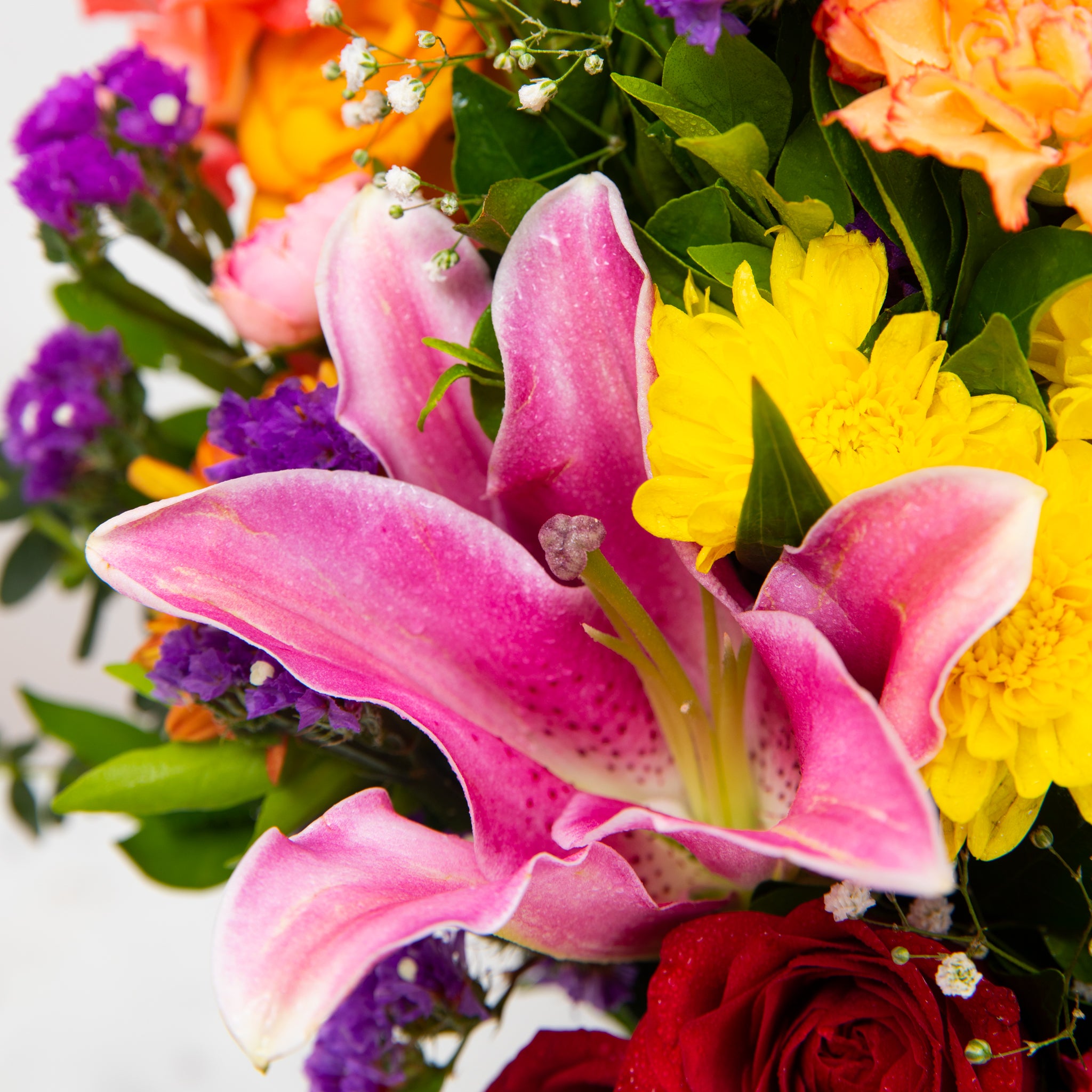 A Riot of Colours