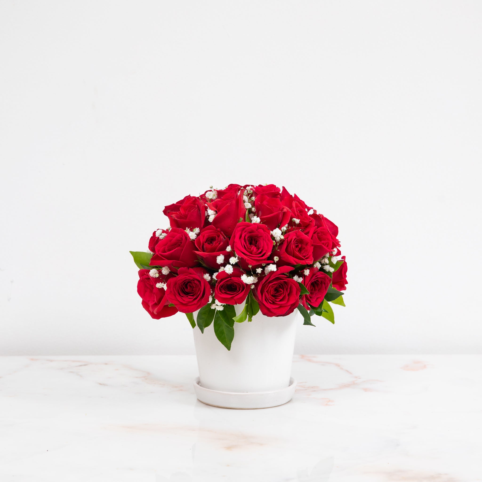 Kiss from a Rose //Banglaore