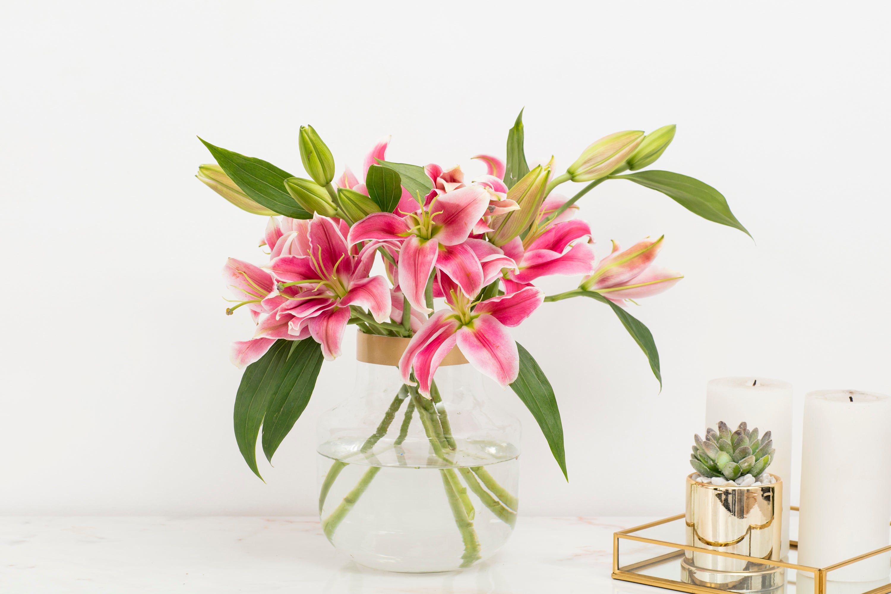 Oriental Lily
