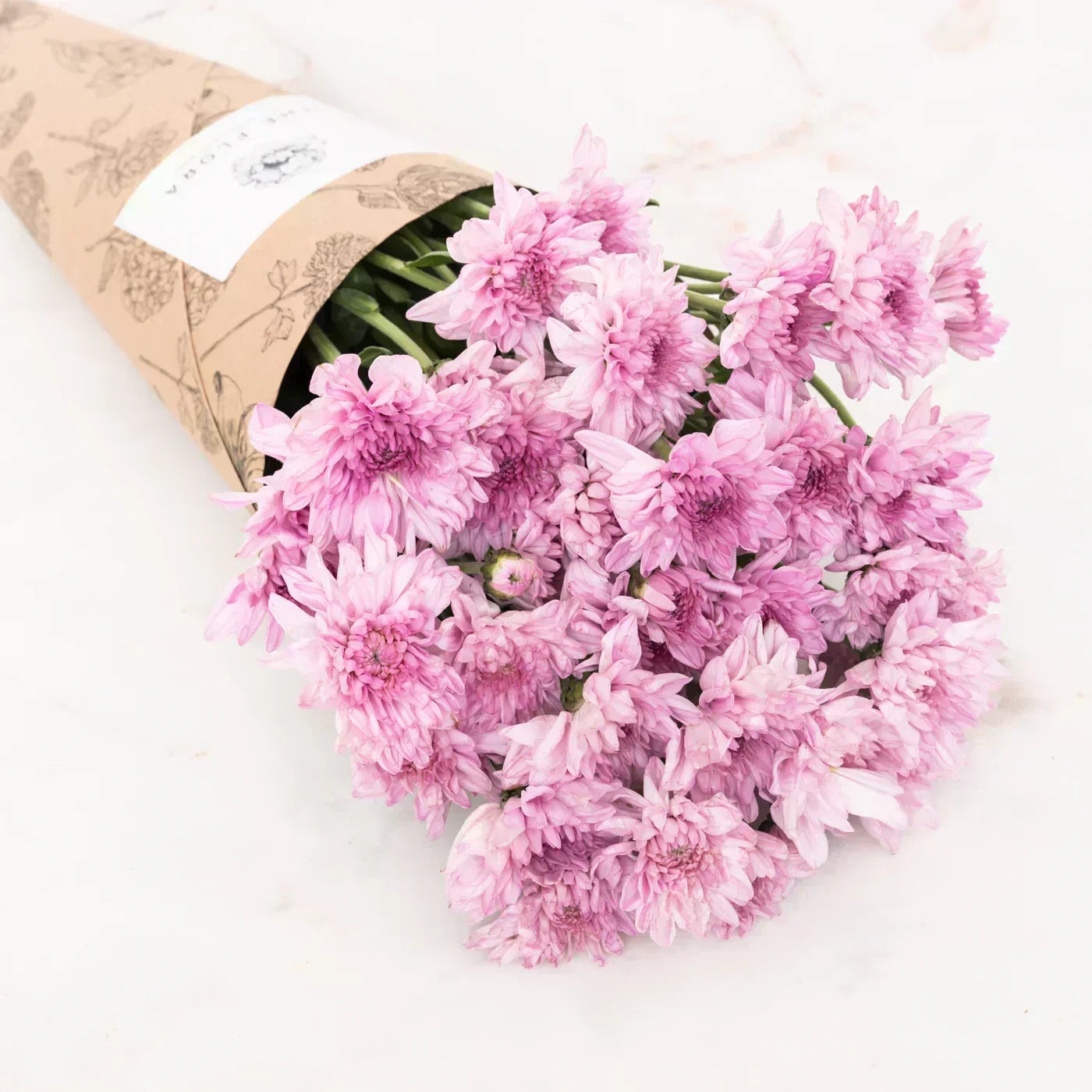 Flowers That Symbolize Friendship