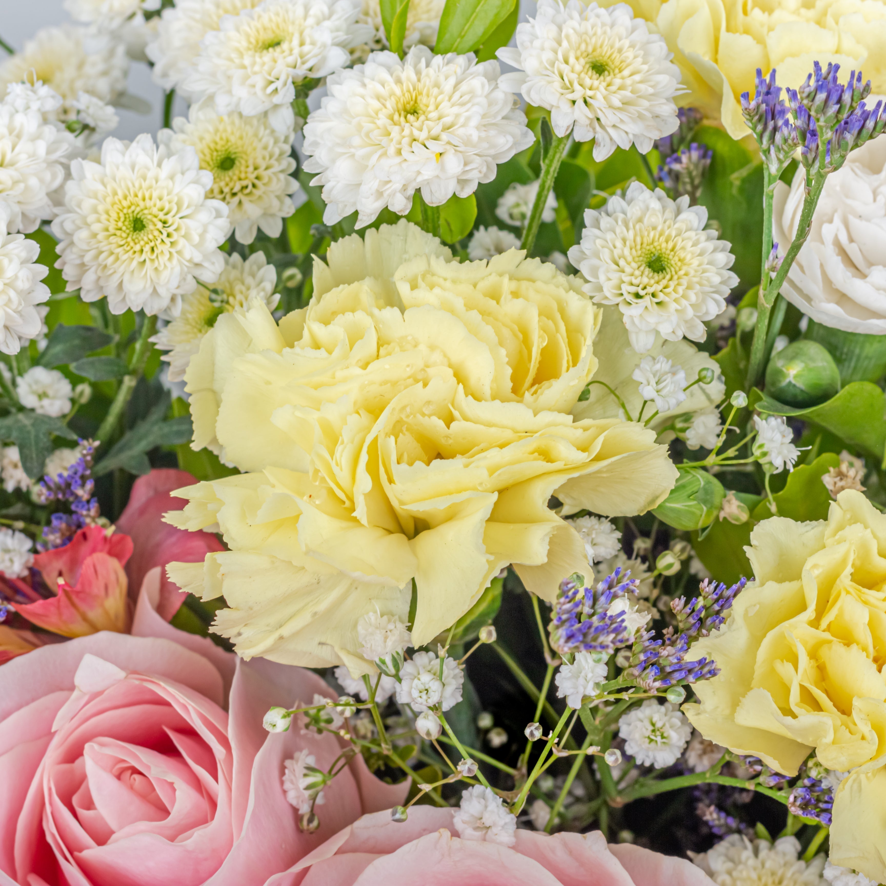 may flowers