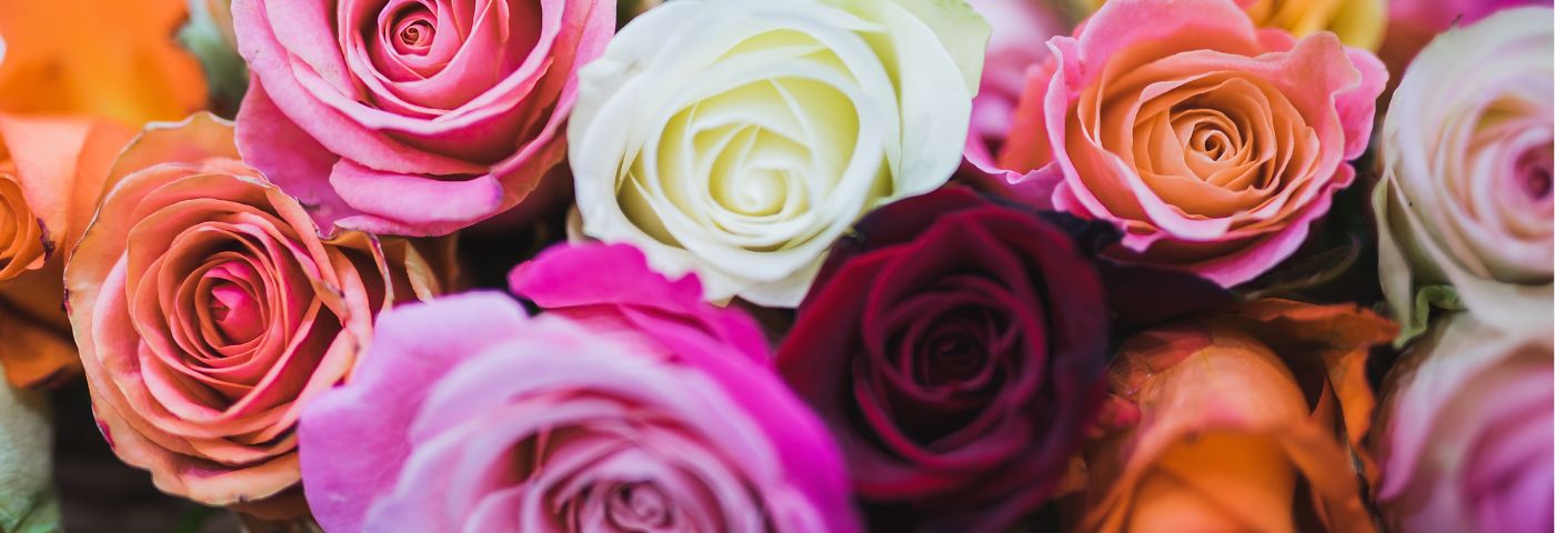 Types Of Rose Flowers