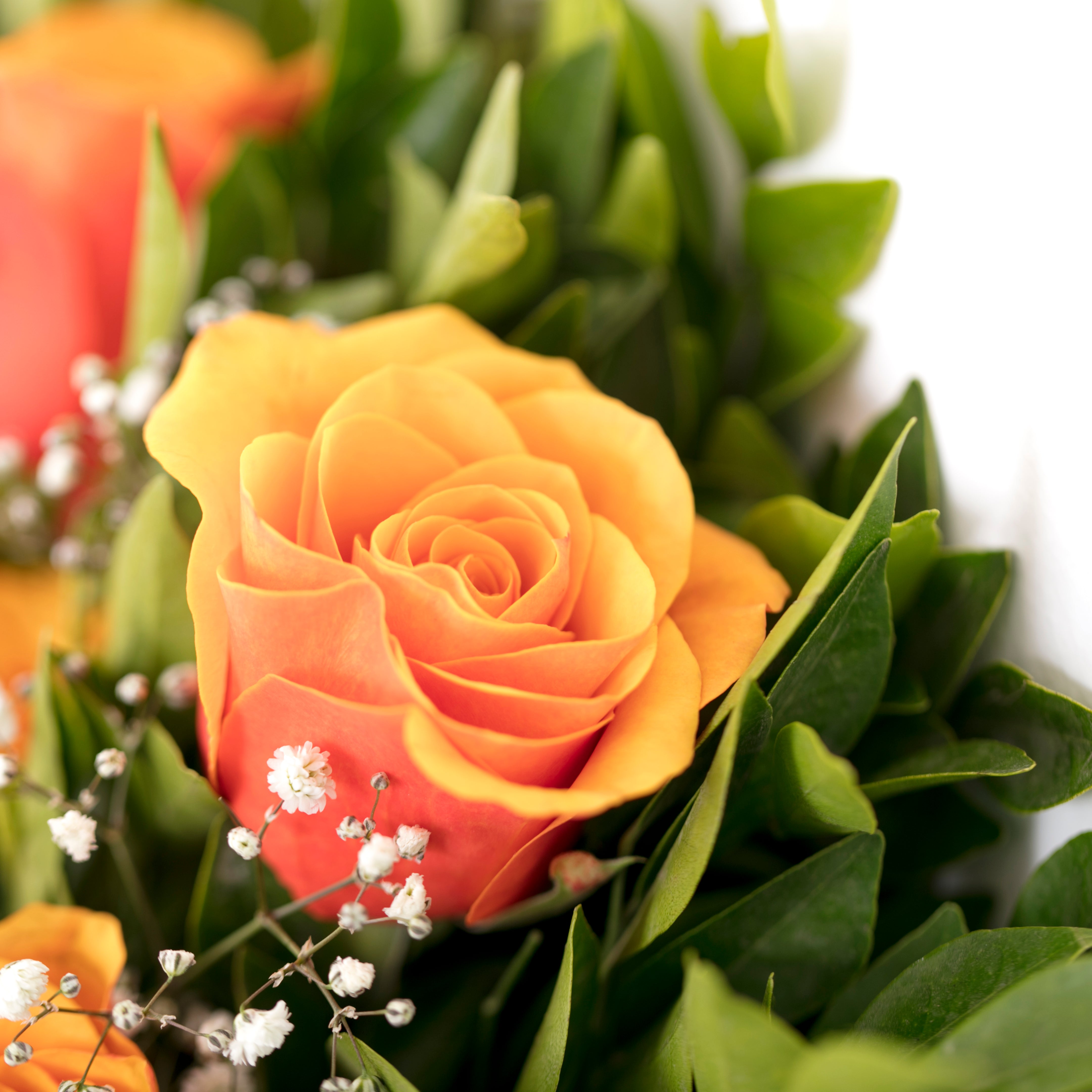 June Birth Flowers