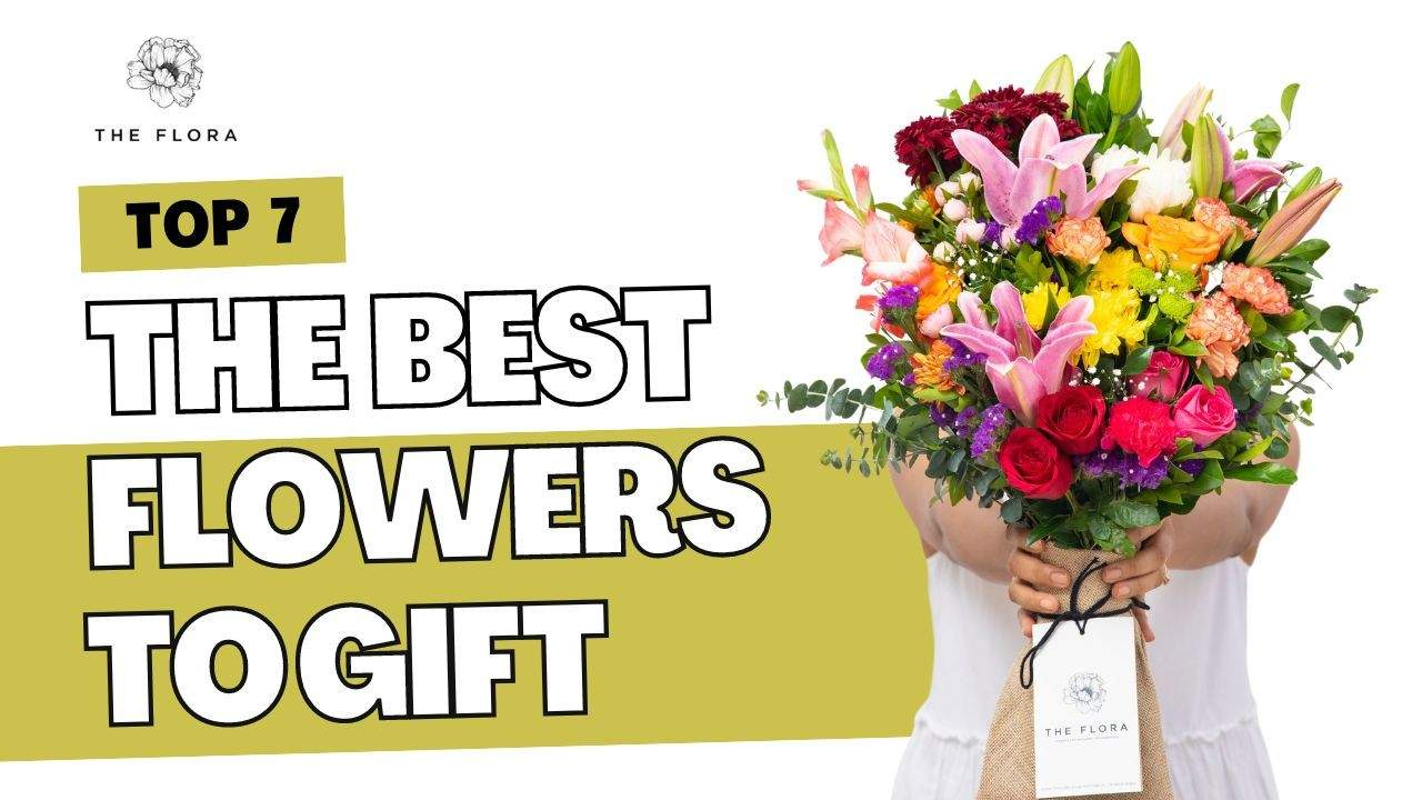 Best Flowers To Give As A Gift