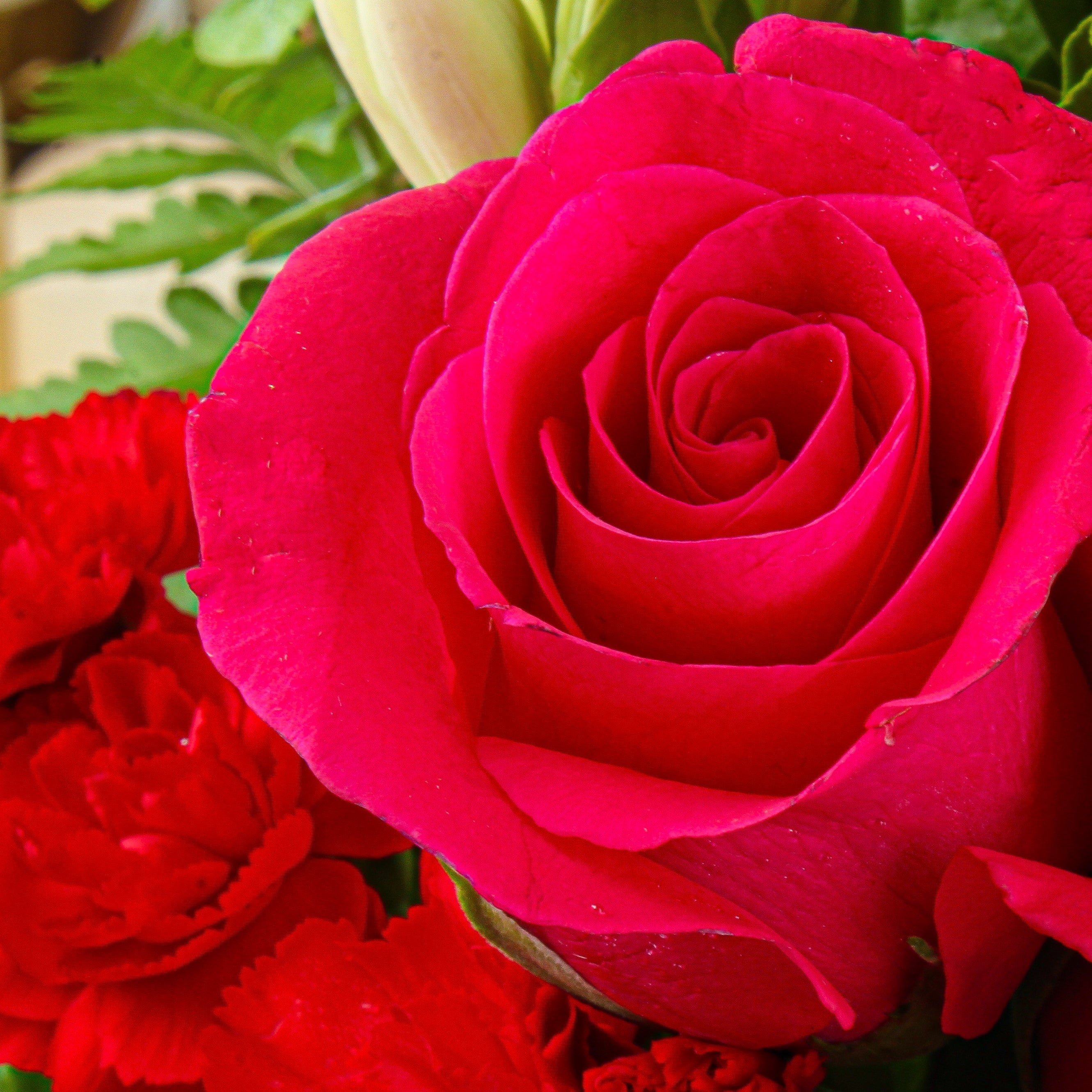 Proposal Flowers