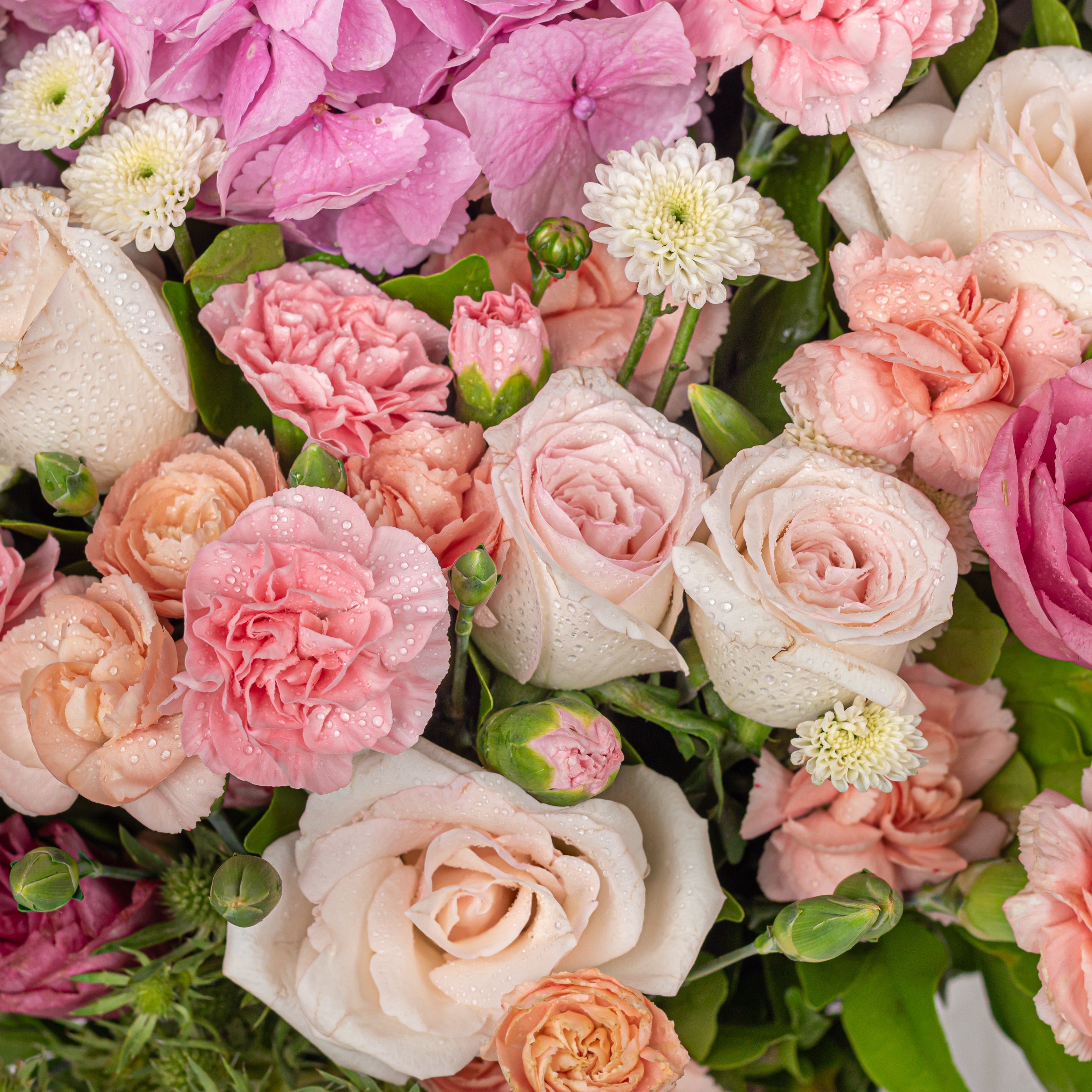 The Flora's Bestsellers