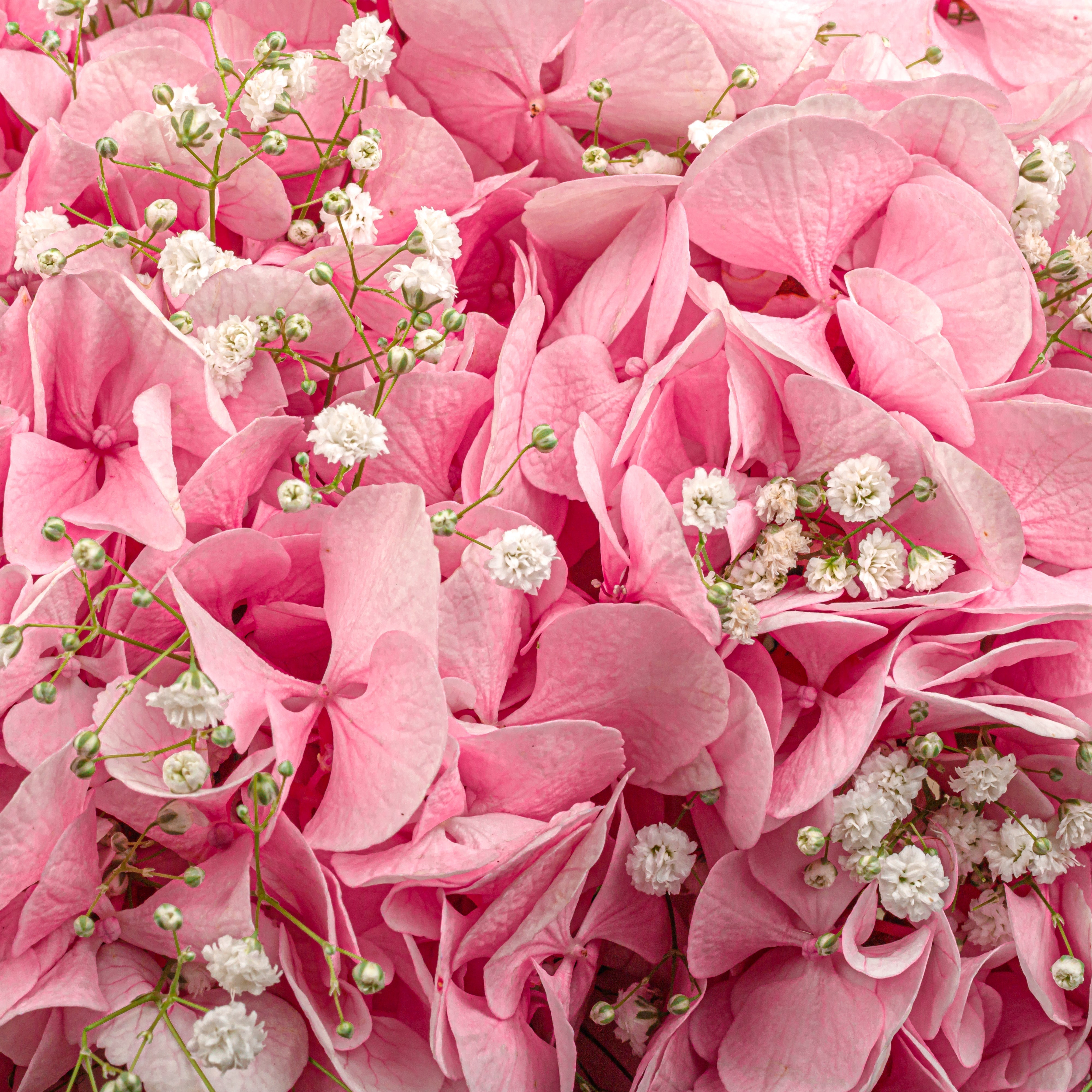 Pink Flower Bouquet