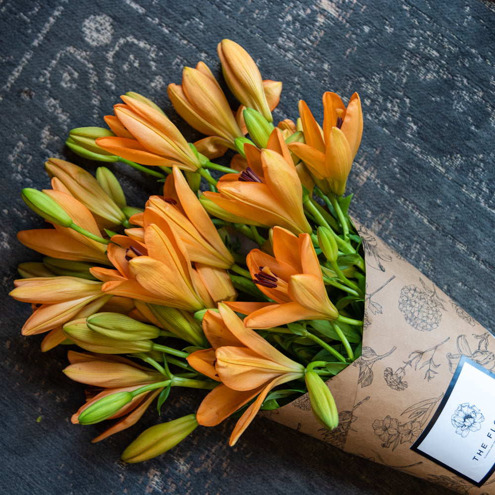 Subscribe to Cut Flowers // Hyderabad