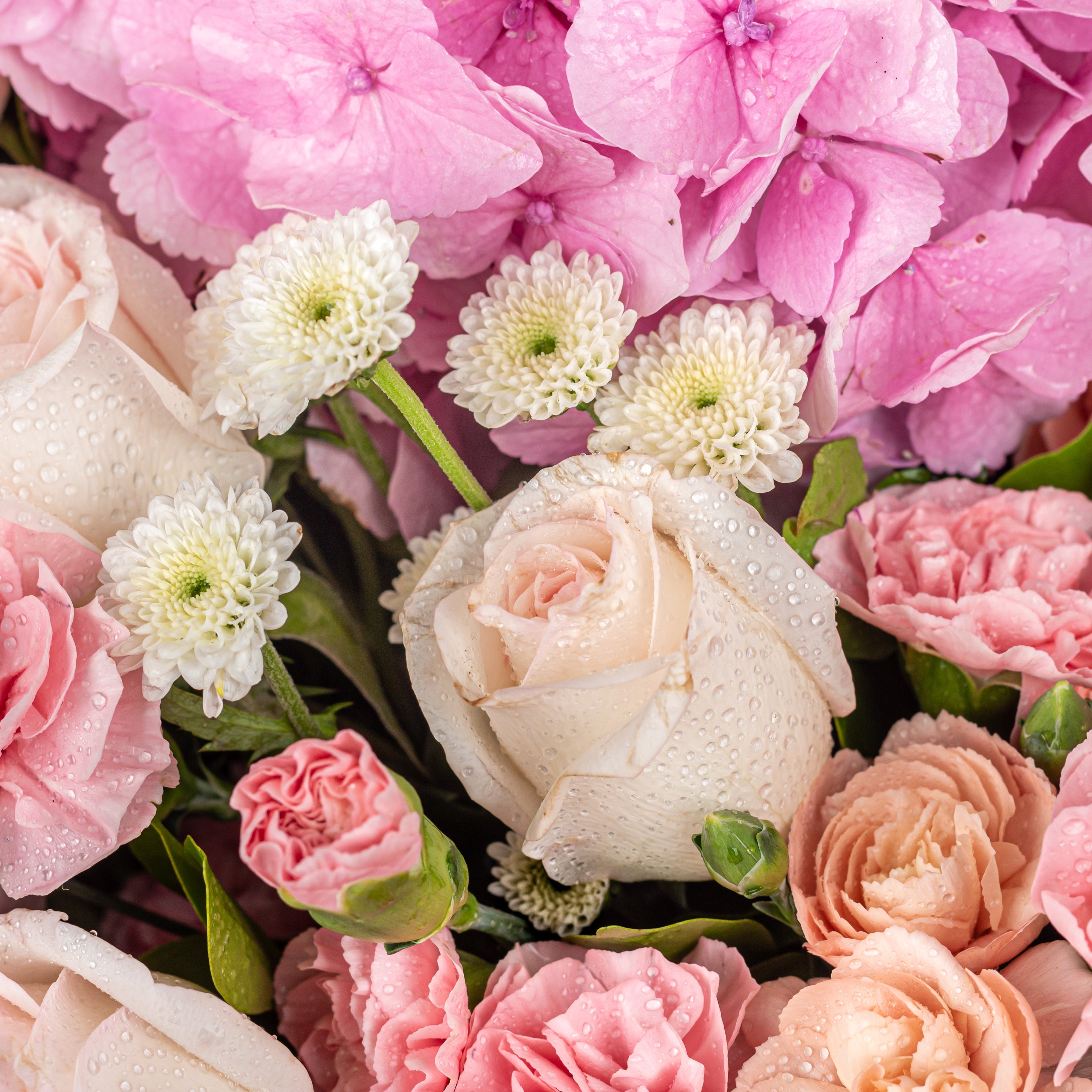 Premium Flowers