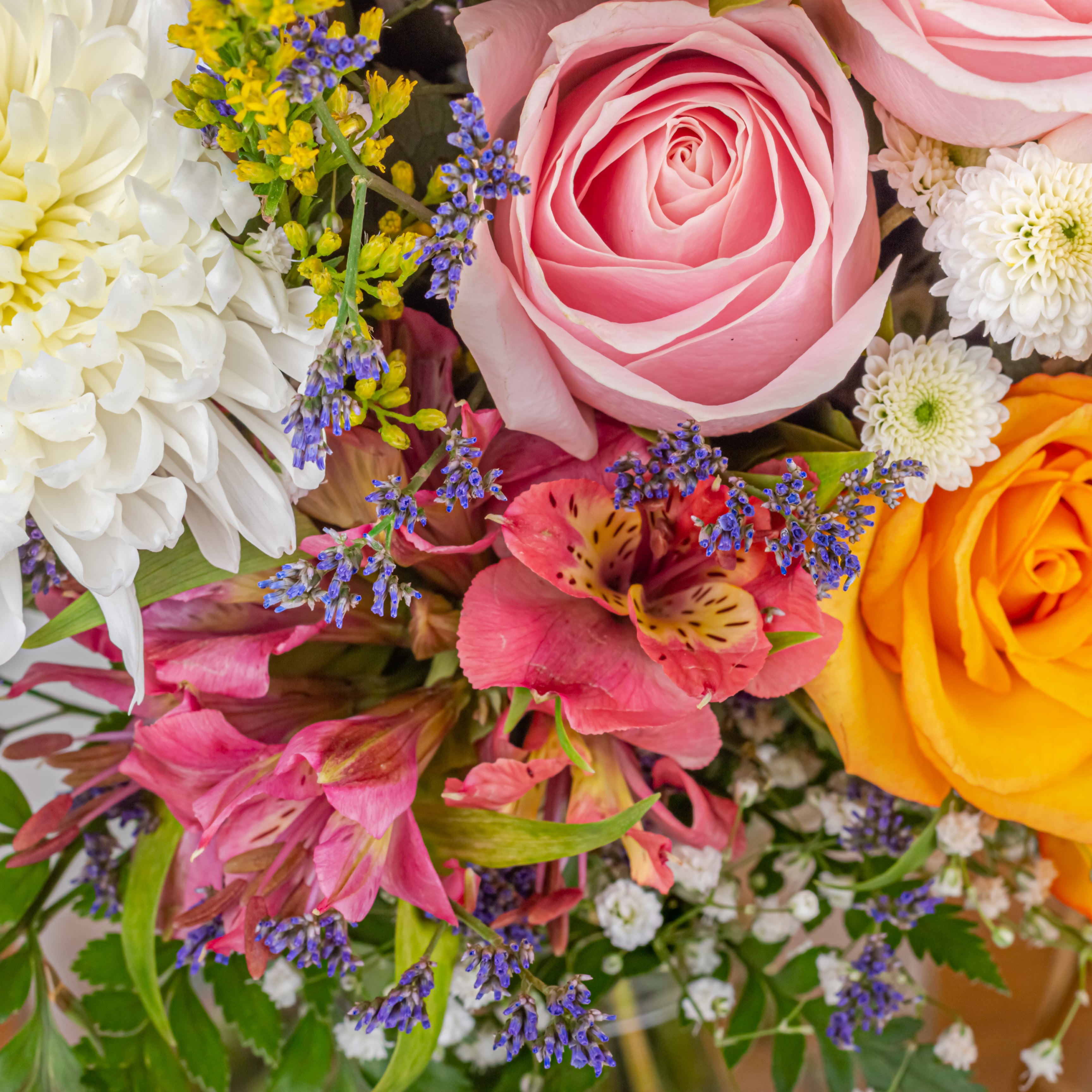 Fleur de Femme: Women's Day Special Bouquet with Scroll Message & Twin Chocolates