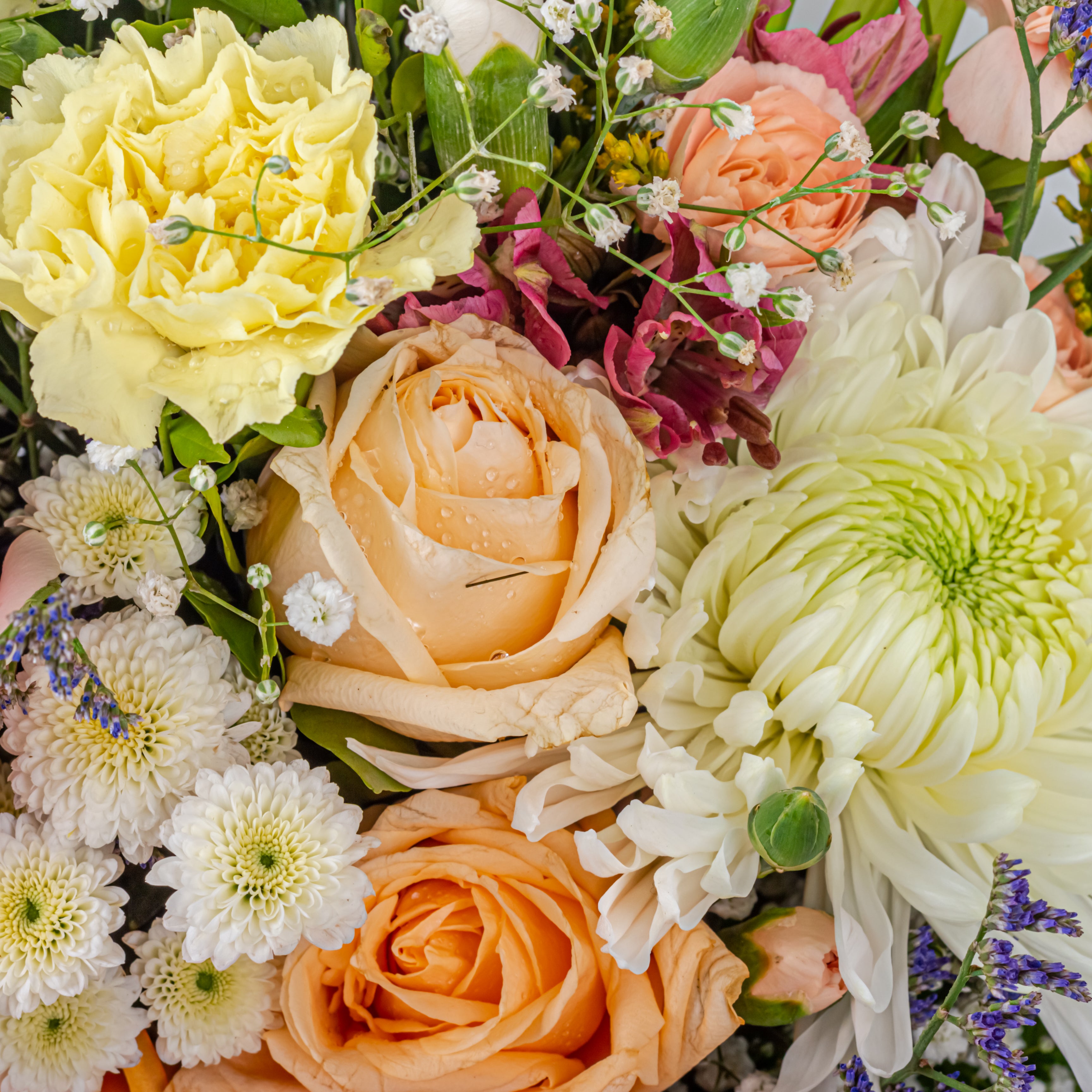 Fleur de Femme: Women's Day Special Bouquet with Scroll Message & Twin Chocolates