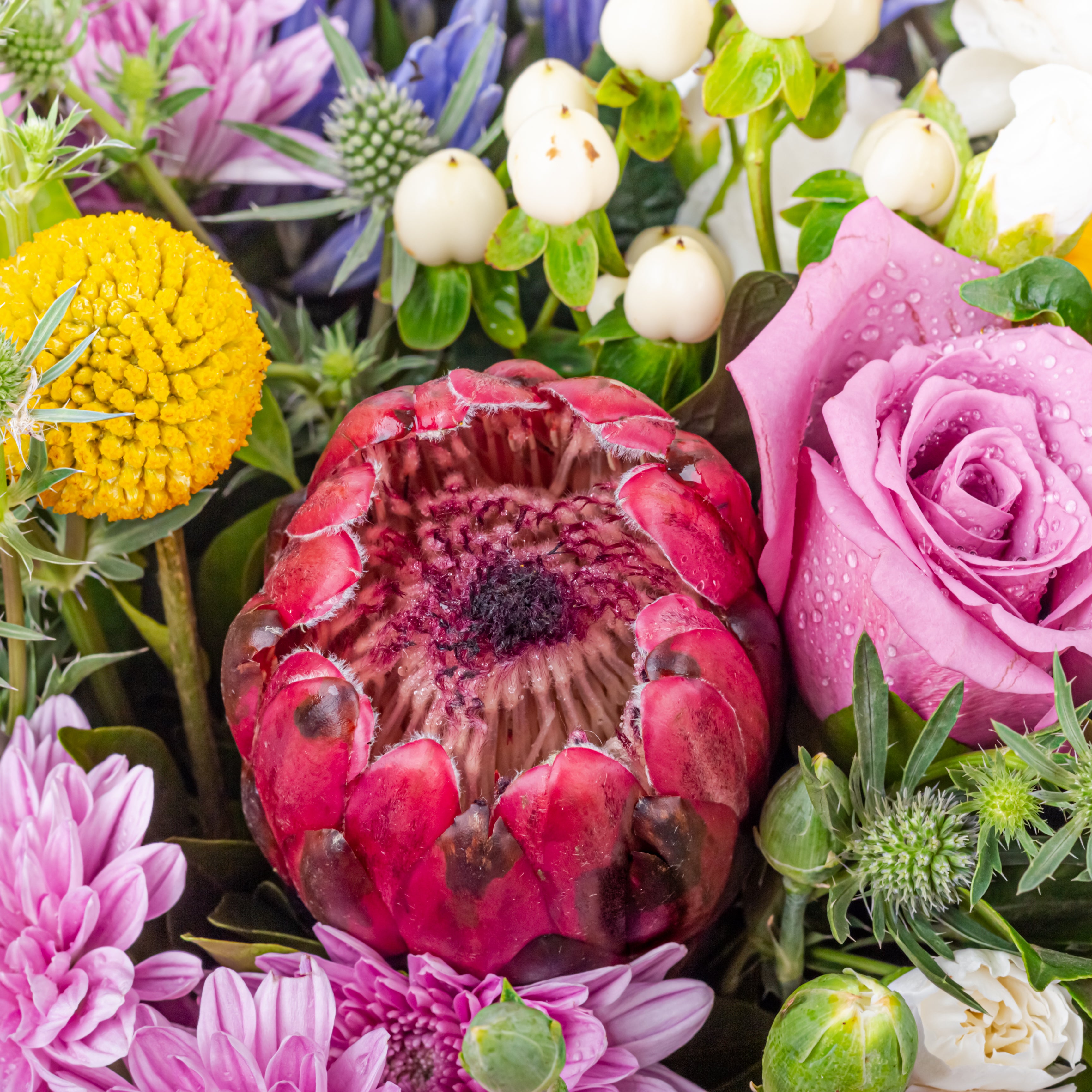 Floraison Grandeur: Women's Day Special Bouquet with Scroll Message & Twin Chocolates