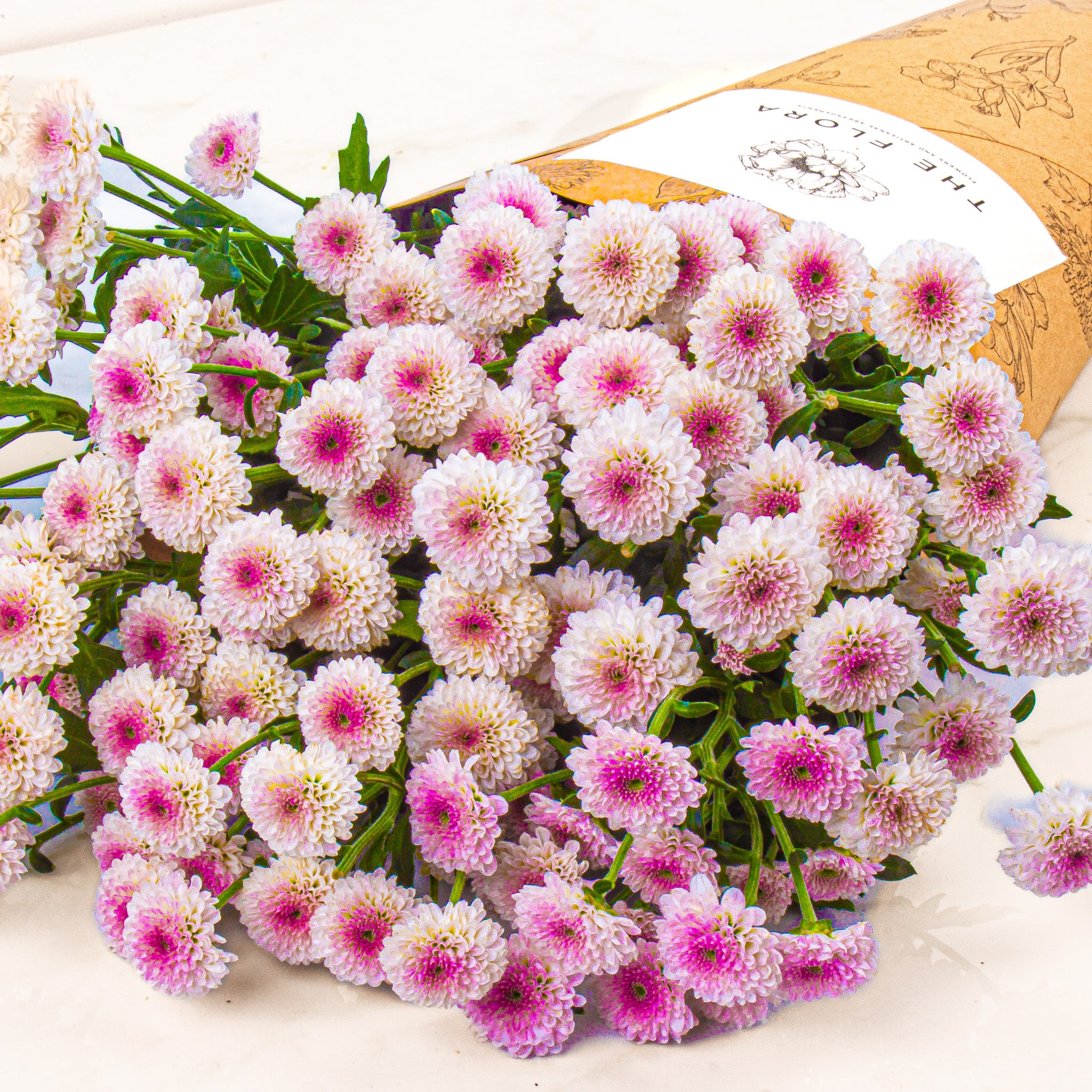 Button Chrysanthemums