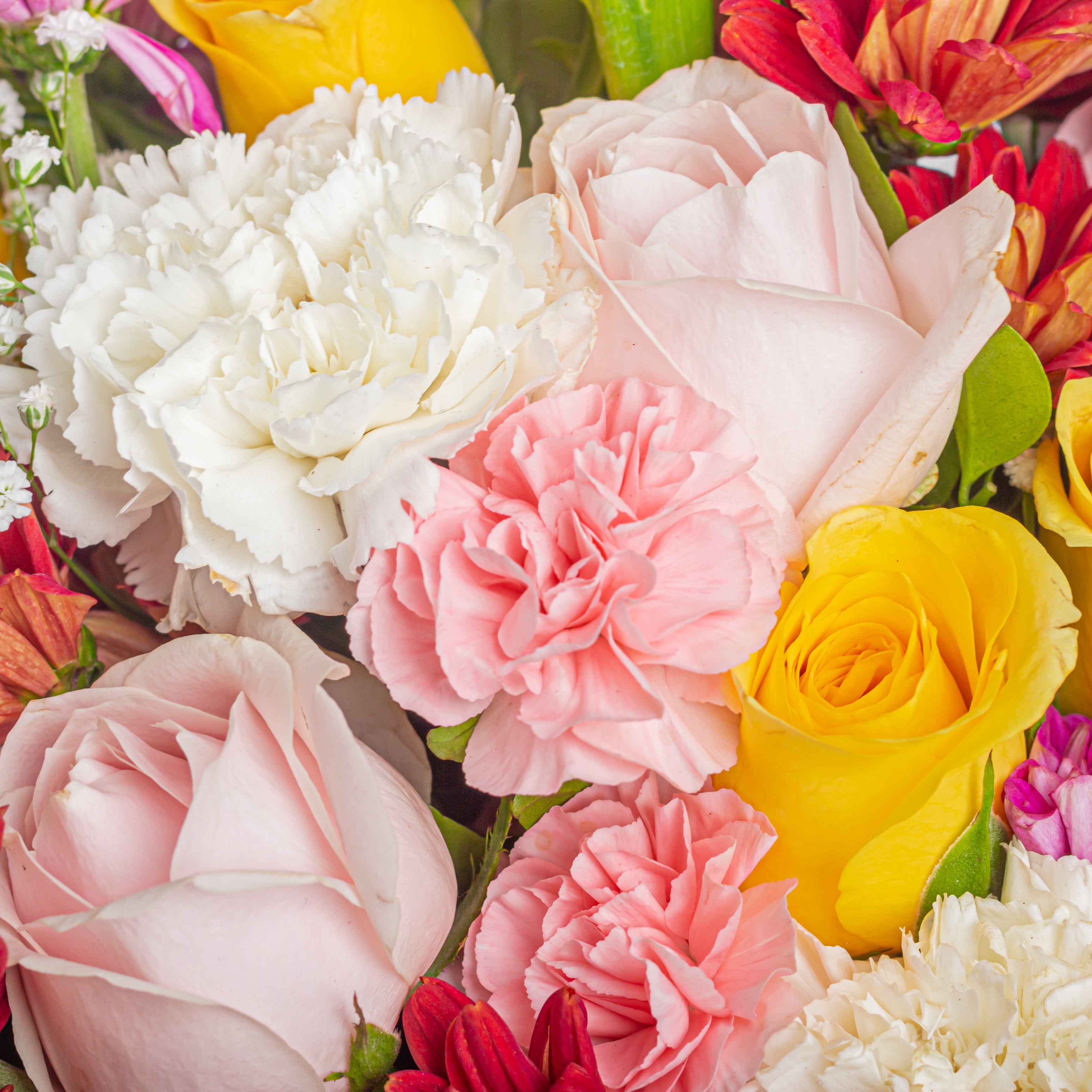 Blossoming Affection – Father’s Day Bouquet// Bangalore