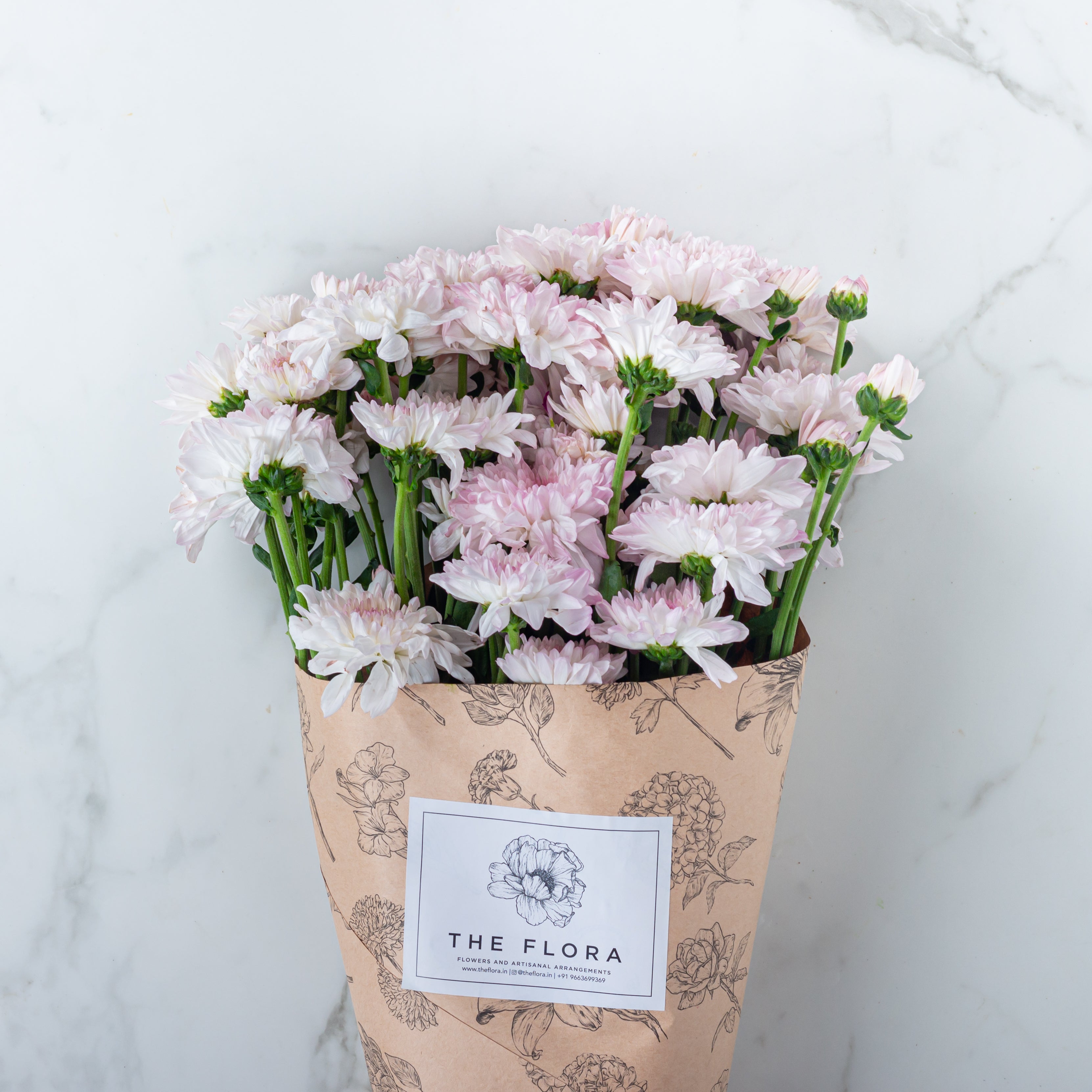 Chrysanthemum