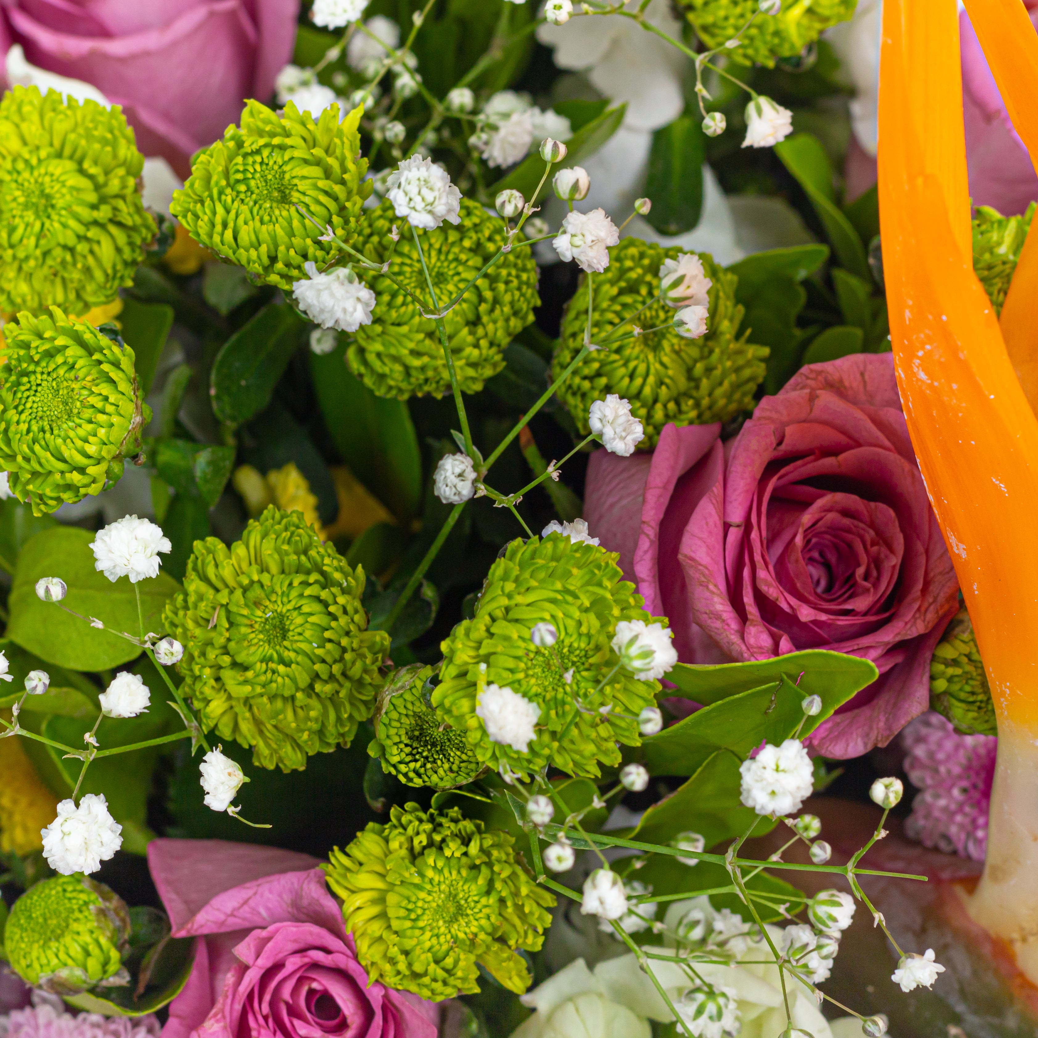 Close up of Bouquet of flowers with green chrysanthemums, pink roses, and white baby's breath.. An artisanal bouquet  called with all my heart curated with Birds of Paradise, Button Chrysanthemums and roses. Online artisanal bouquets with same day delivery in sustainable packaging at www.theflora.in