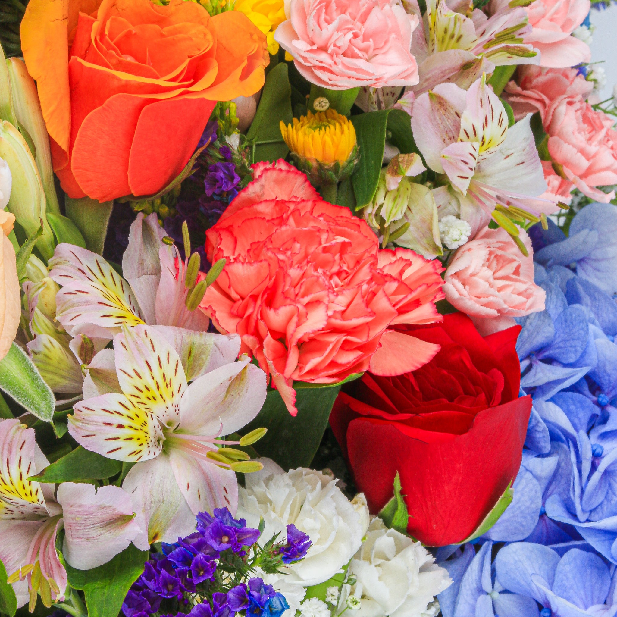 Assorted Bunch of Cut flowers