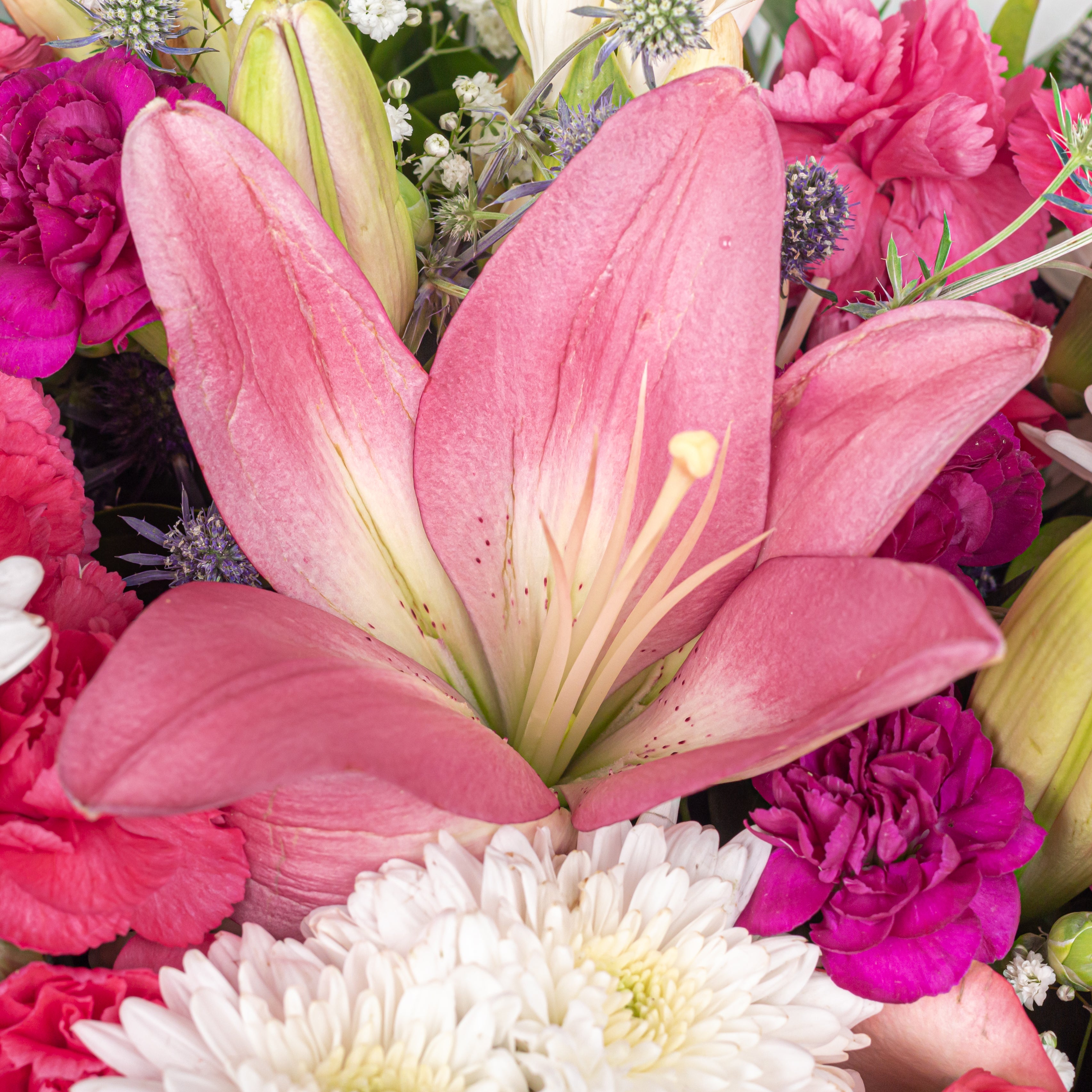 Scented Symphony
