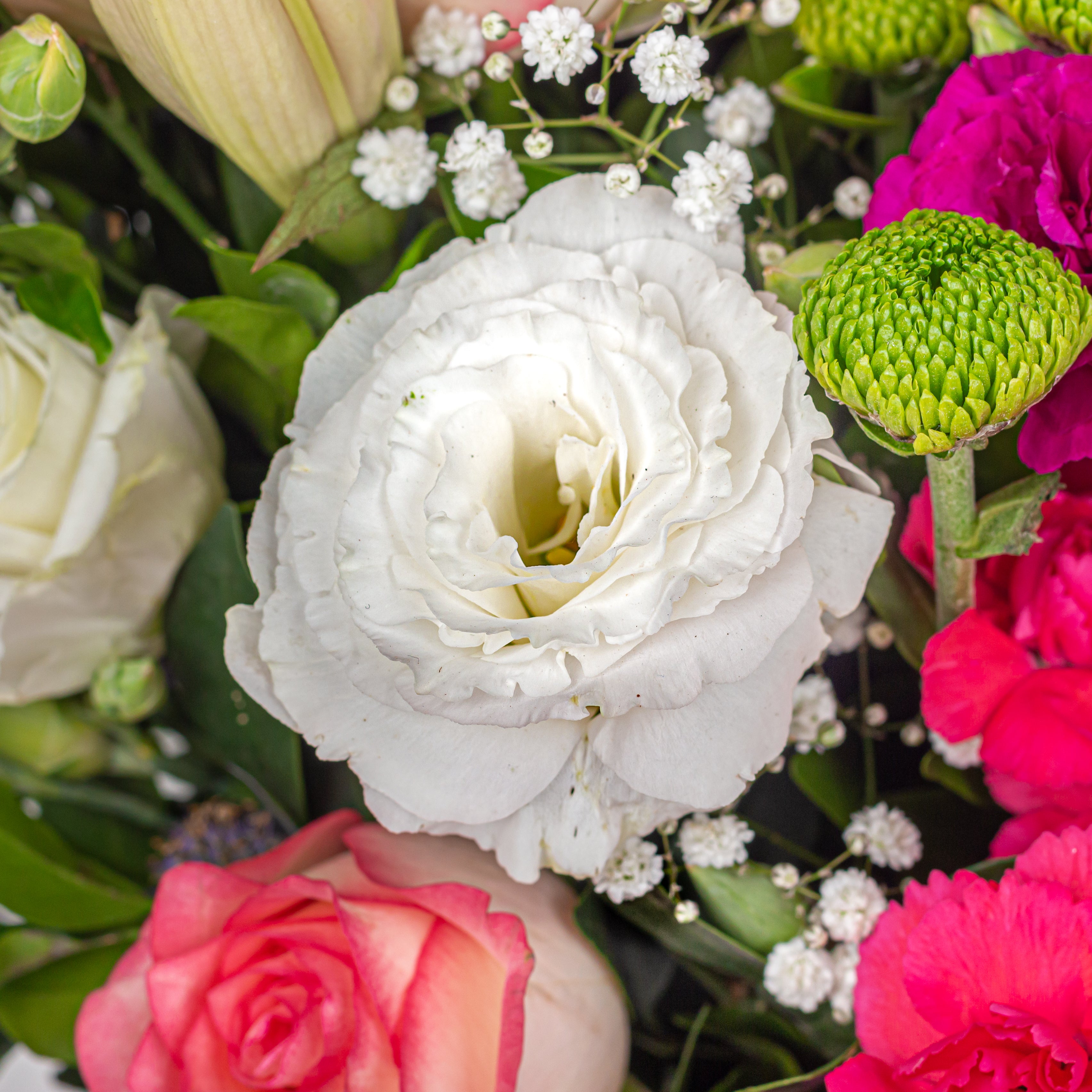 Scented Symphony