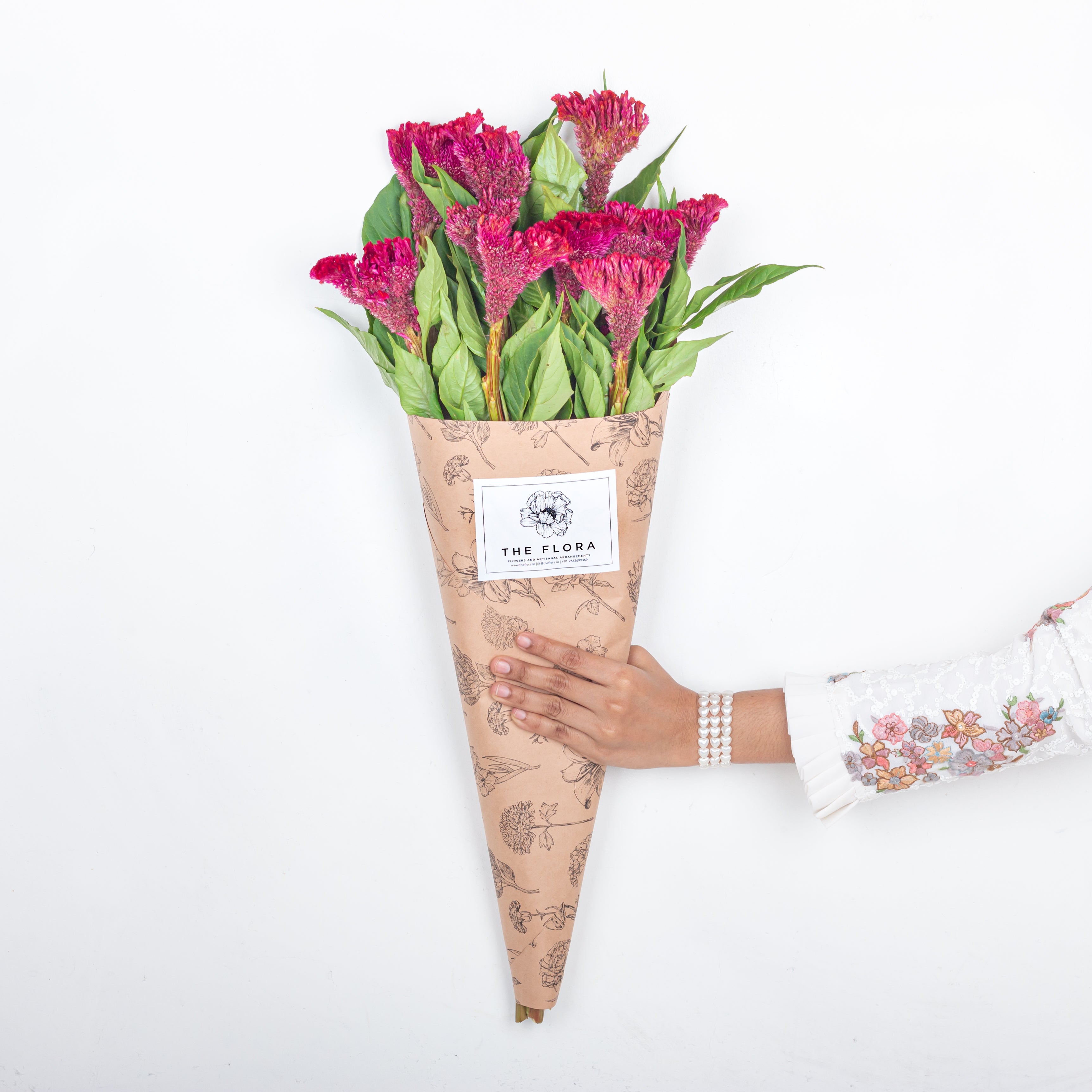 Celosia (Cockscomb)