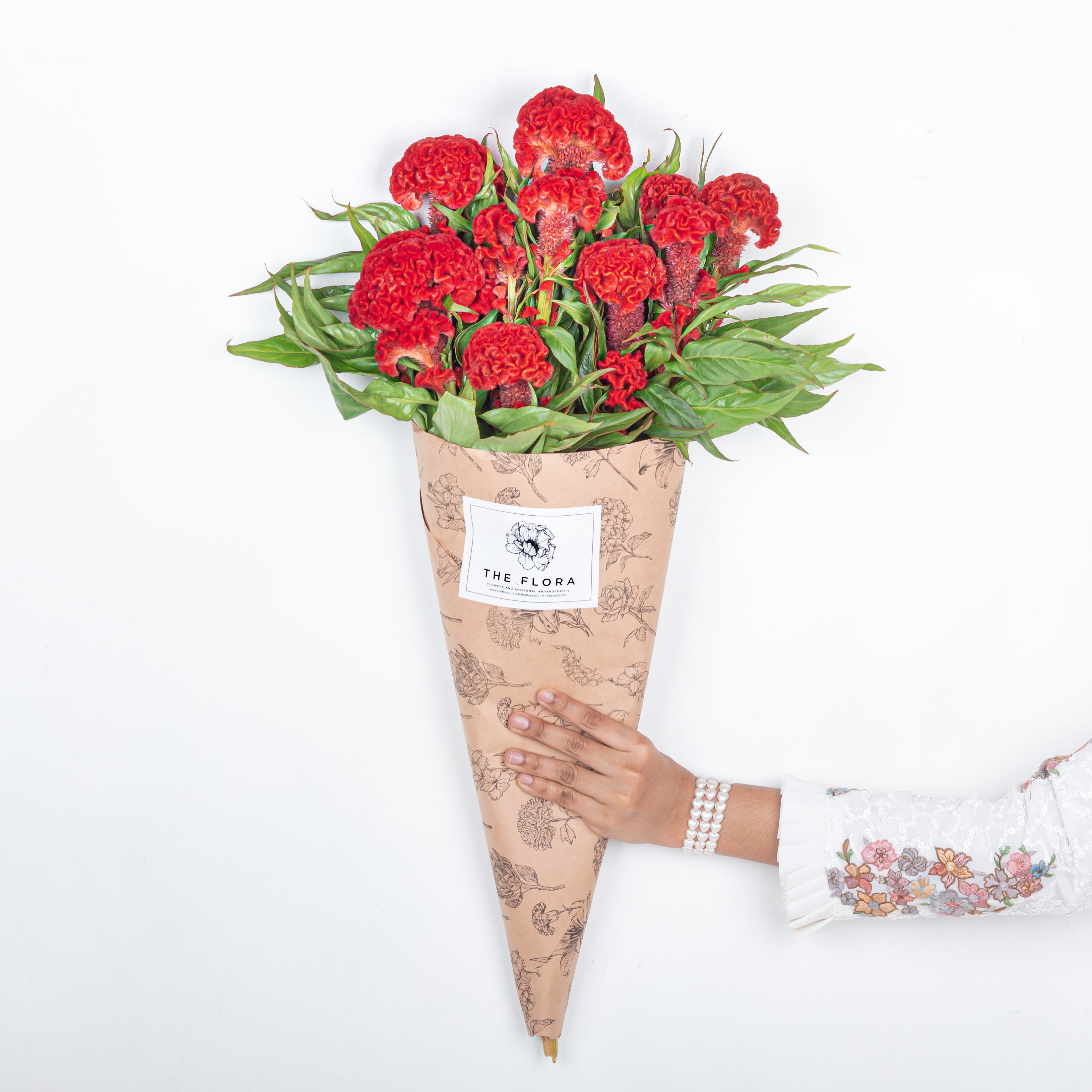Celosia (Cockscomb)
