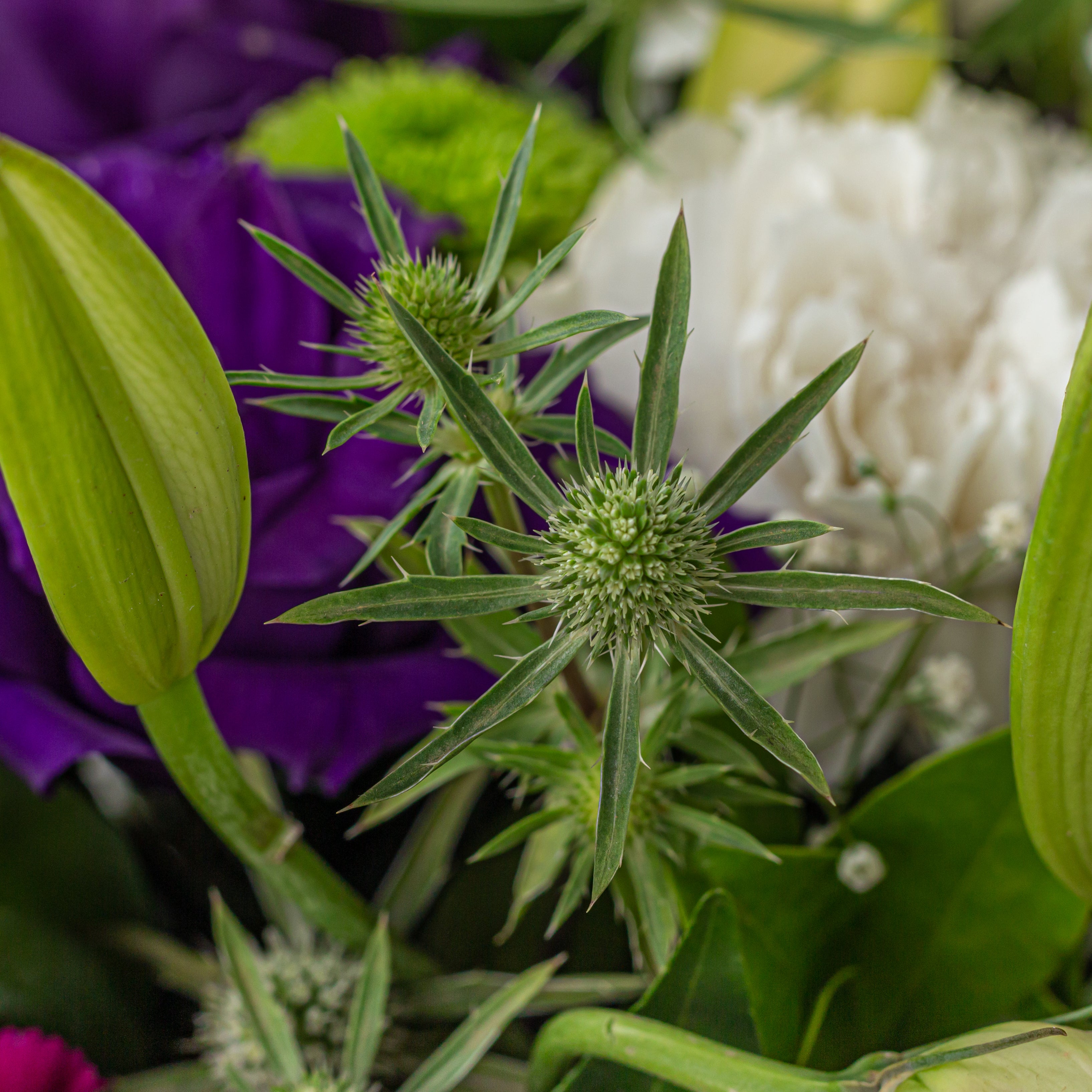 Oriental lilies eryngium thistle romantic flower arrangement metal pot