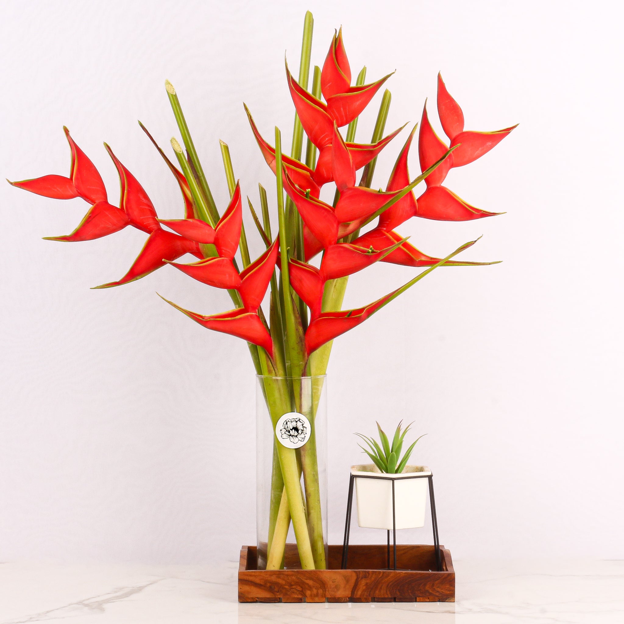 Heliconia