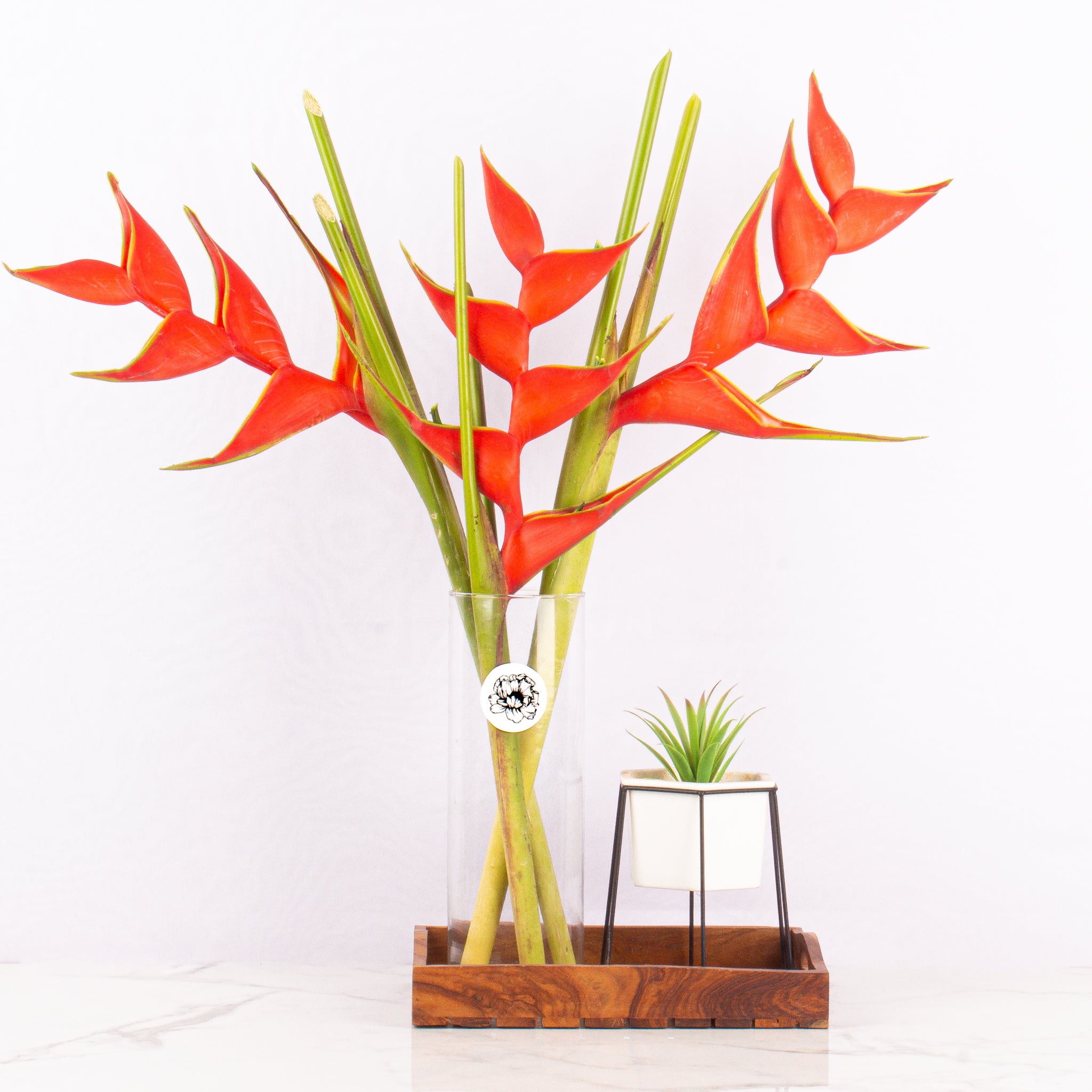 Heliconia