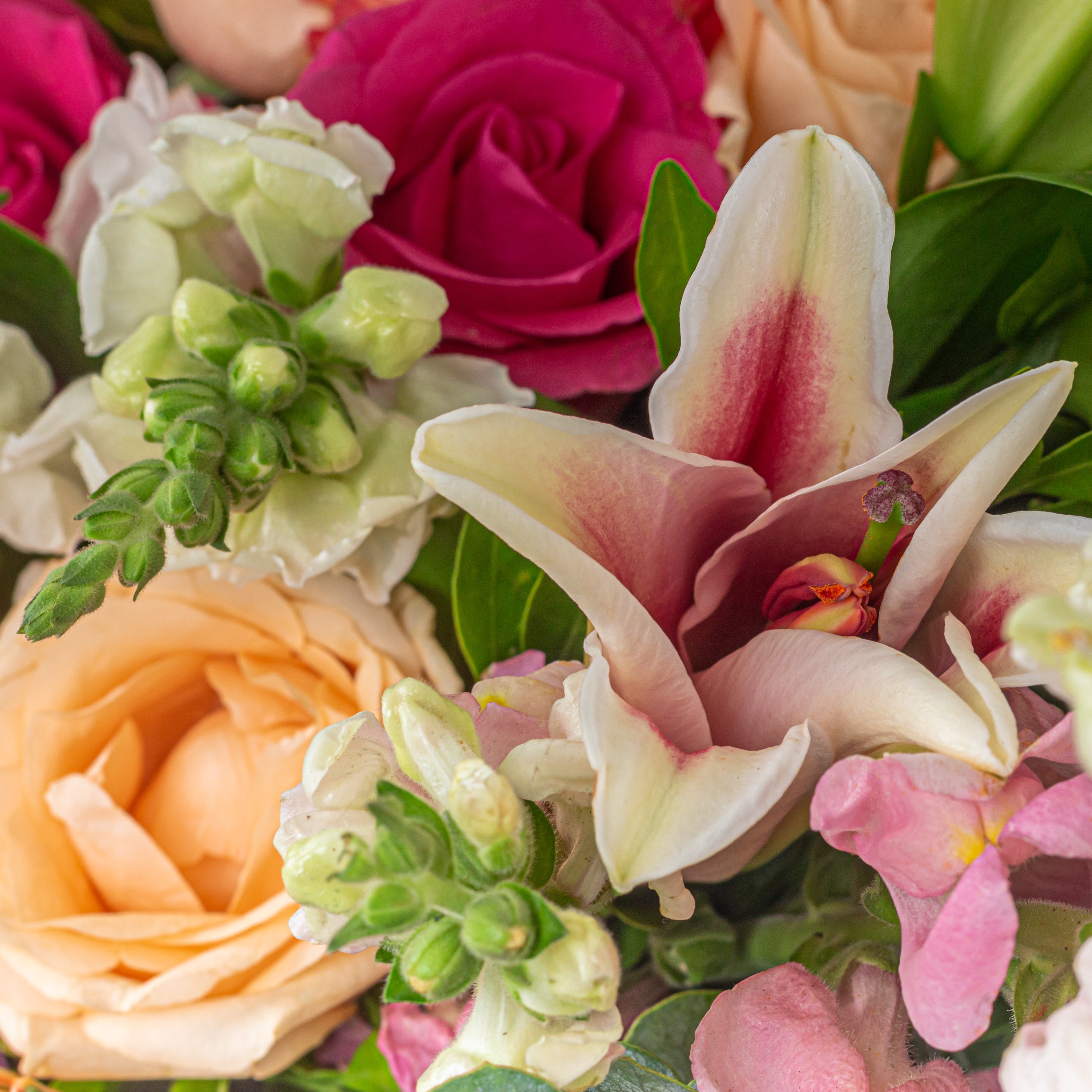 Joyful Blooms