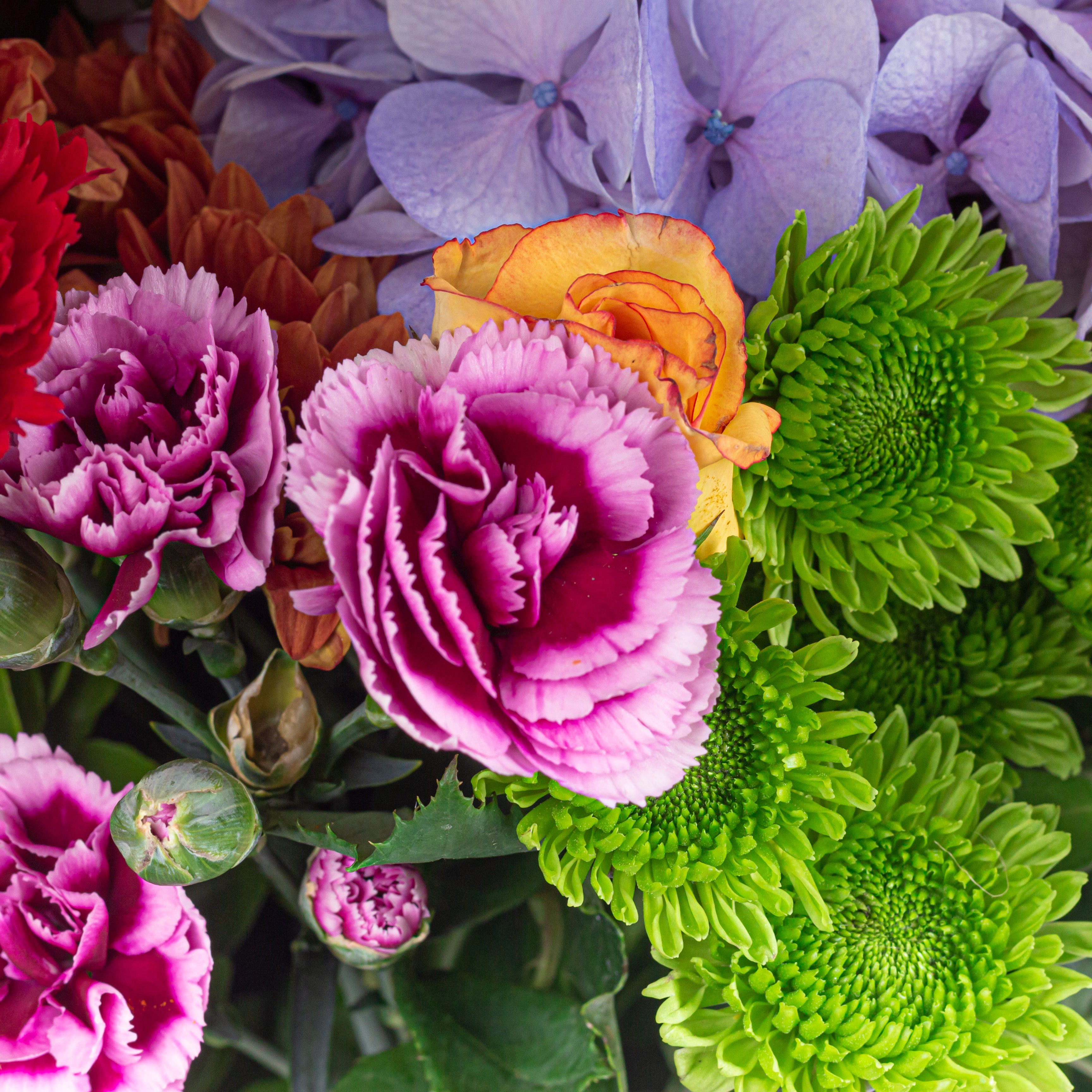 Colourful Burst