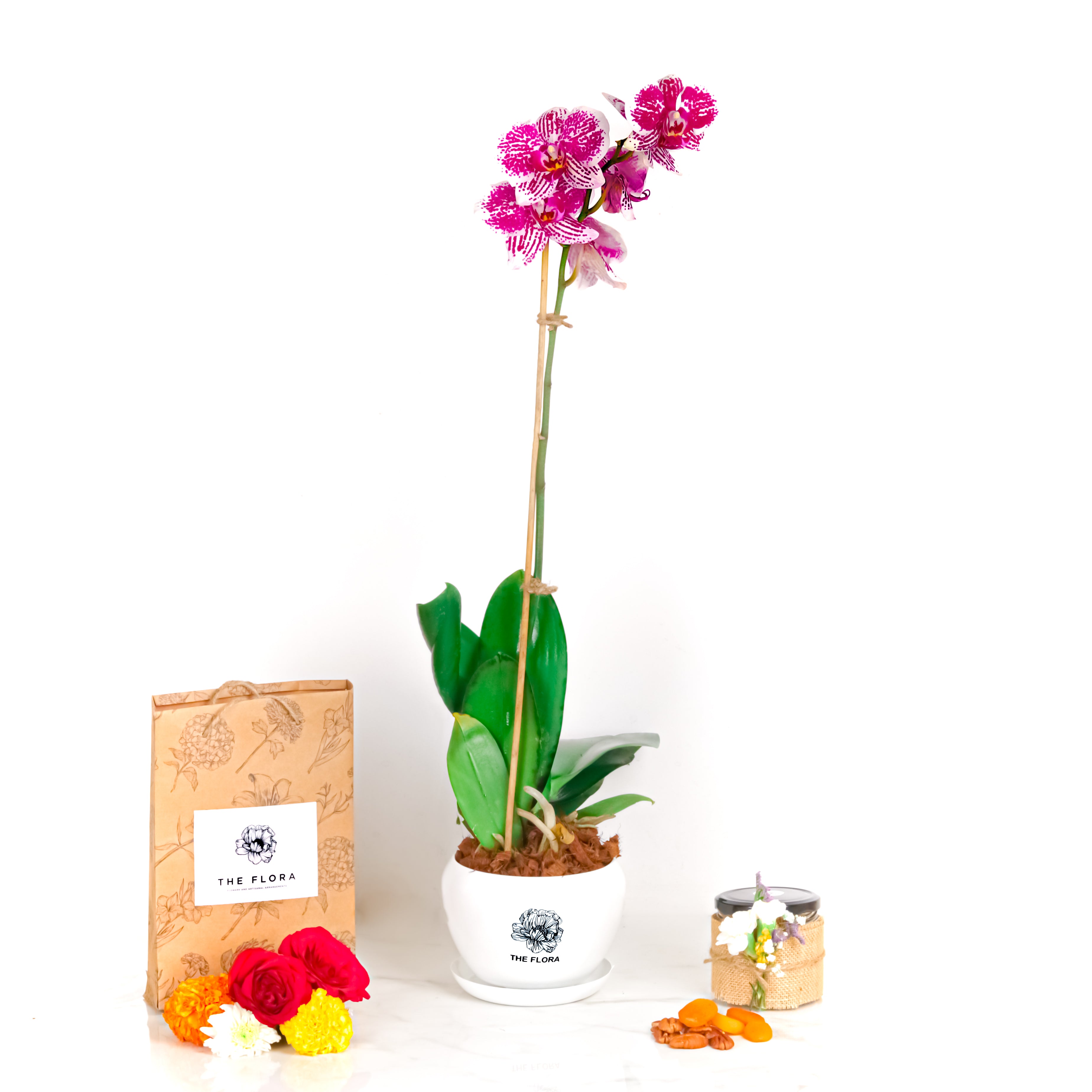 Potted Radiance (Orchids with Puja flowers, Dried Apricots & Pecan nuts)