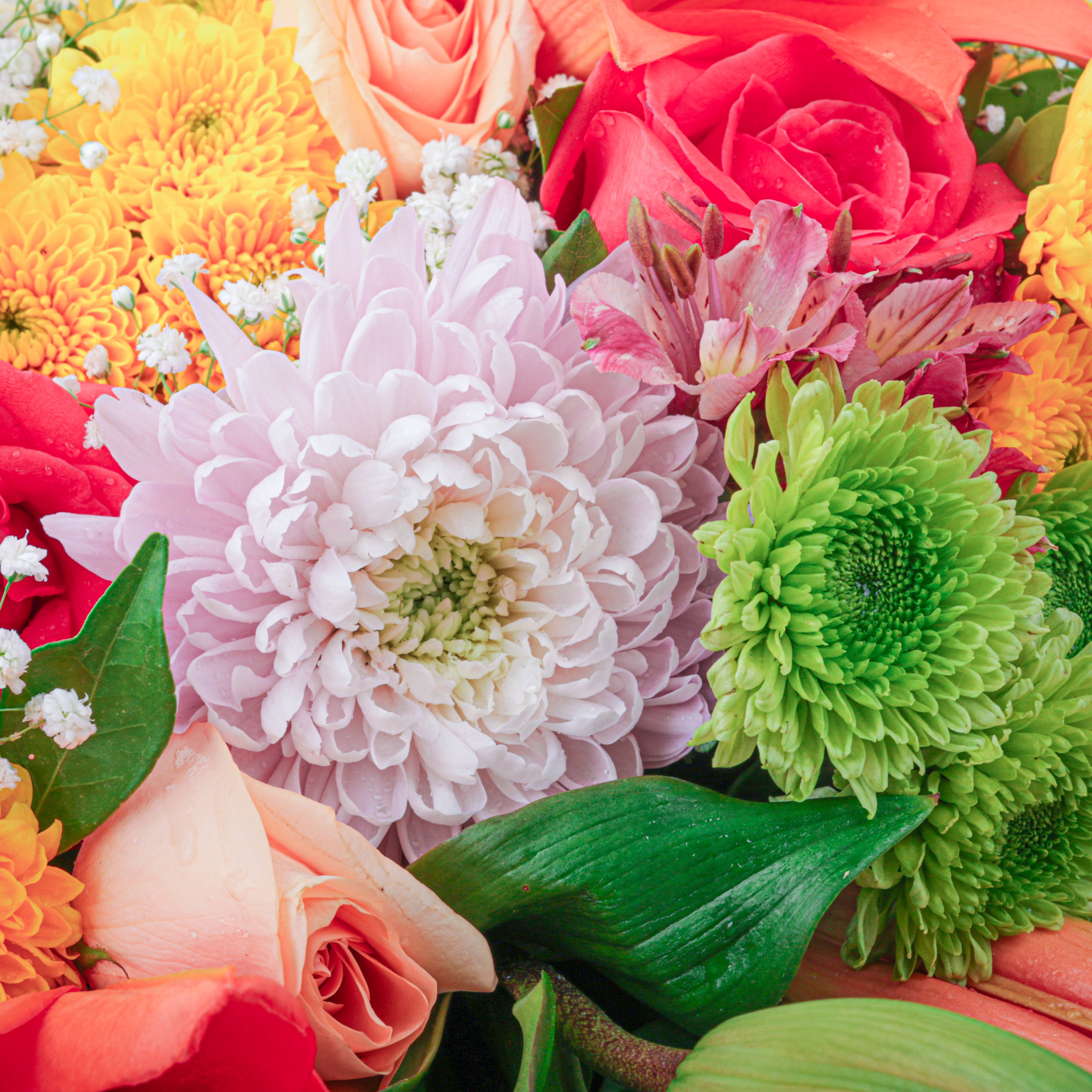 Diwali Floral Feast (Bouquet with Puja flowers, Dried Apricots & Pecan nuts)