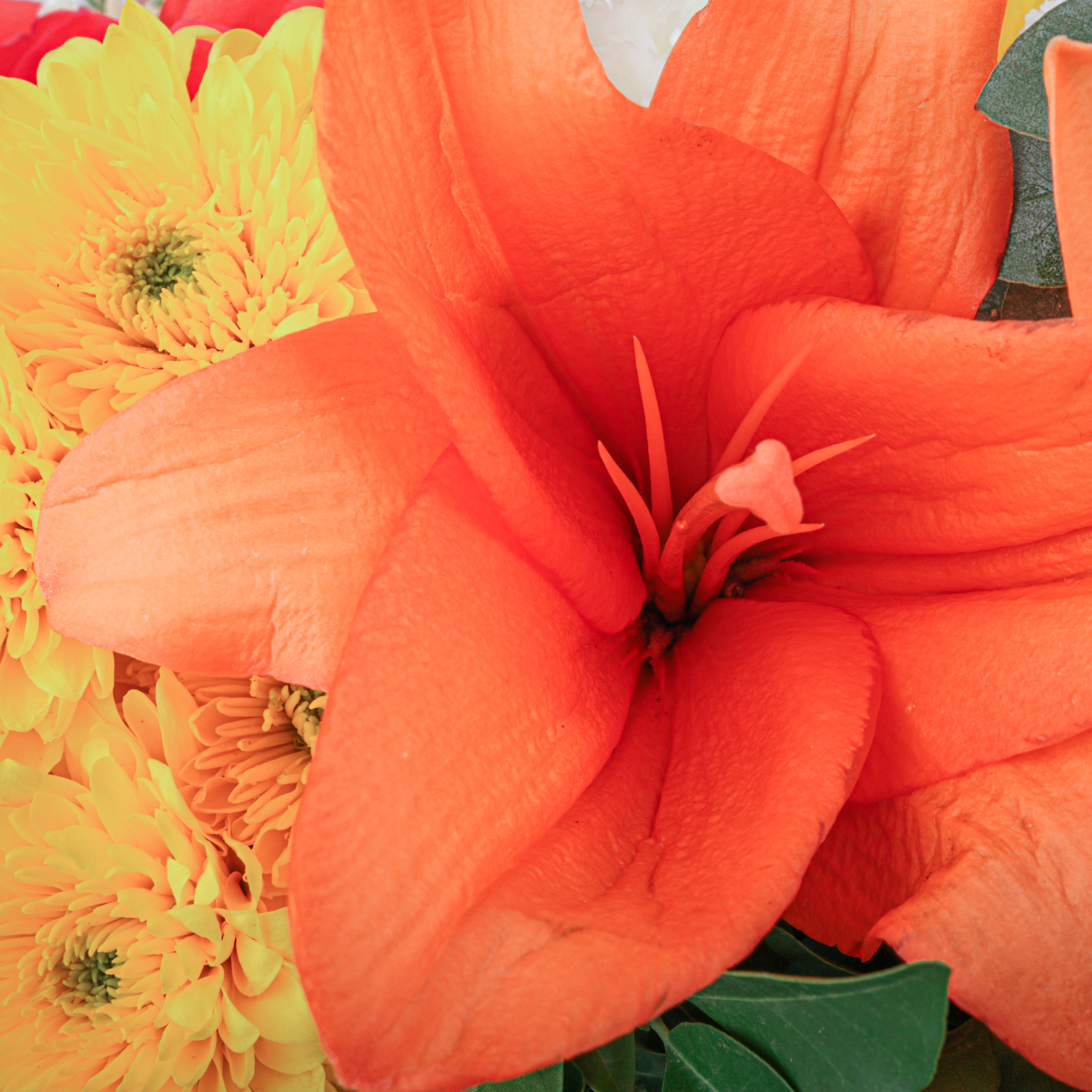 Diwali Floral Feast (Bouquet with Puja flowers, Dried Apricots & Pecan nuts)