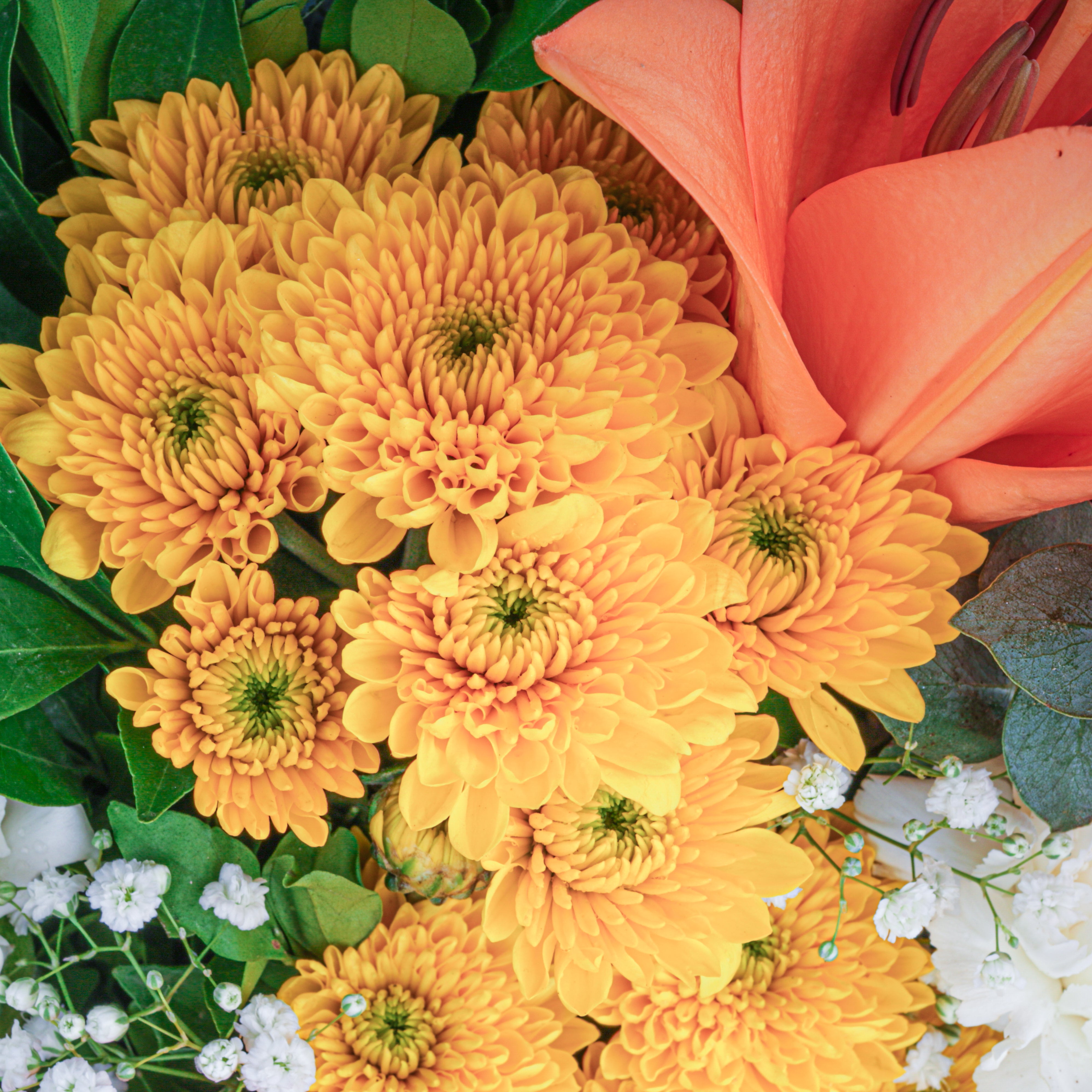 Diwali Floral Feast (Bouquet with Puja flowers, Dried Apricots & Pecan nuts)