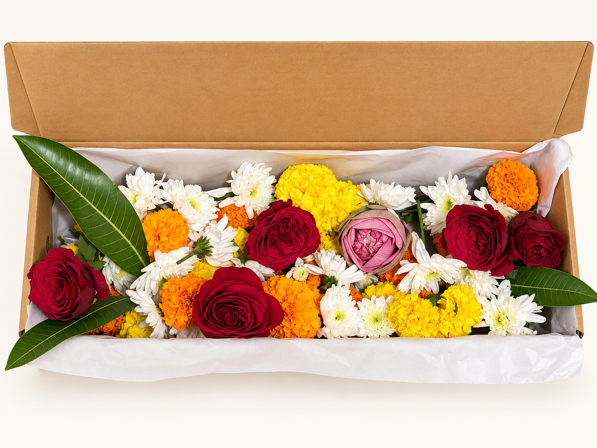 Potted Radiance (Orchids with Puja flowers, Dried Apricots & Pecan nuts)