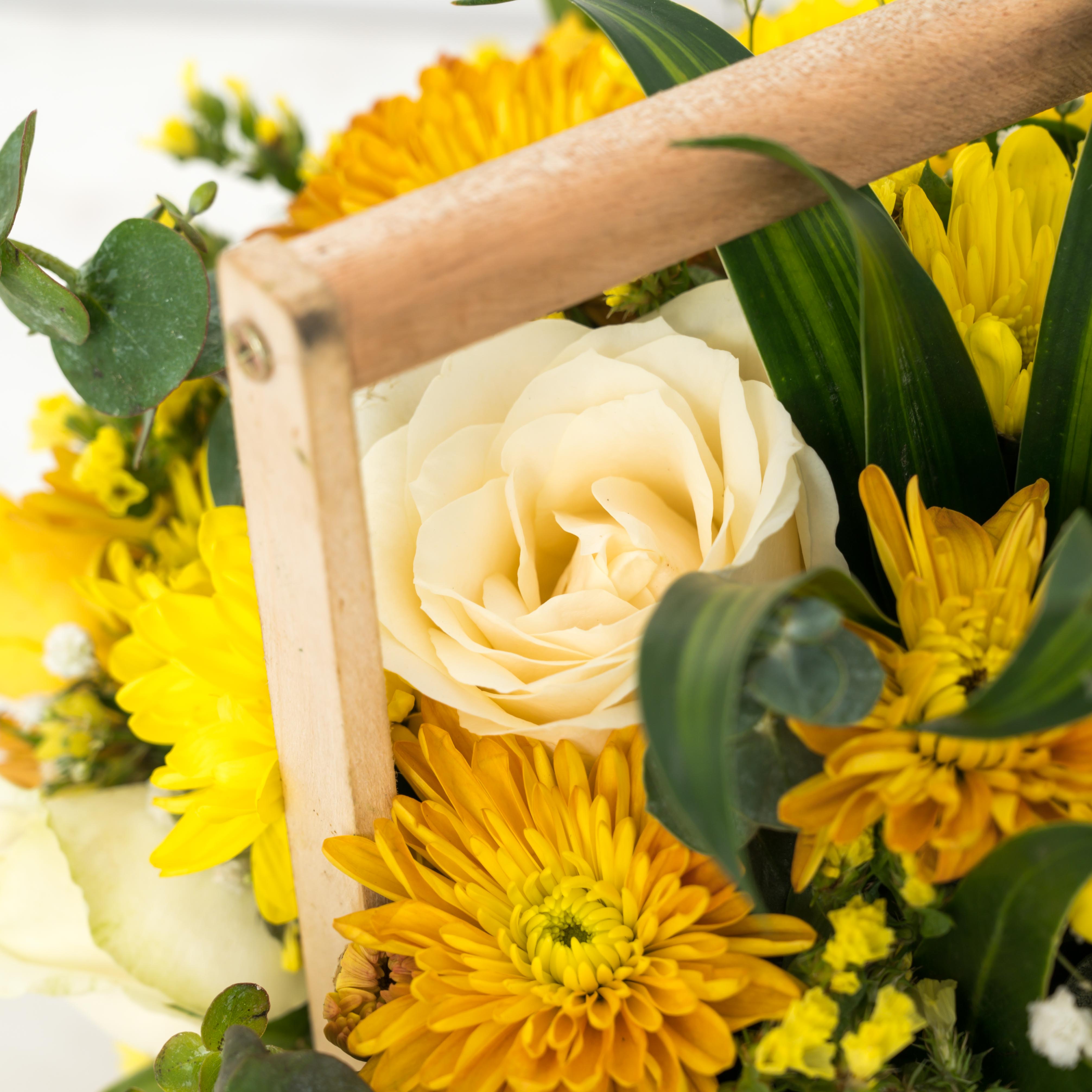 Sunlit Festivities (Floral Basket with hand-rolled Beeswax candles & Pineapple Paprika Chocolate) //Delhi