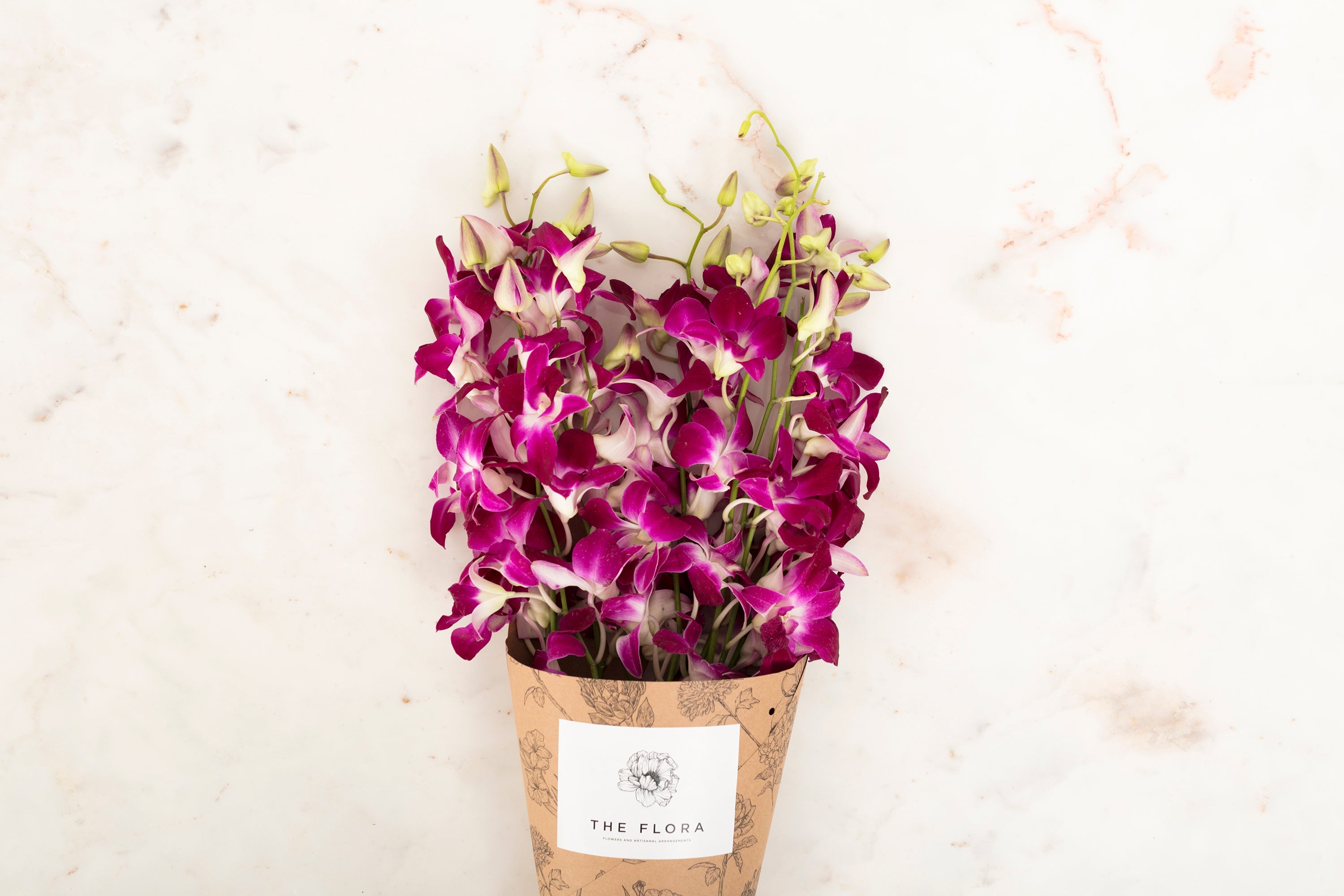 Dendrobium Orchids //Delhi