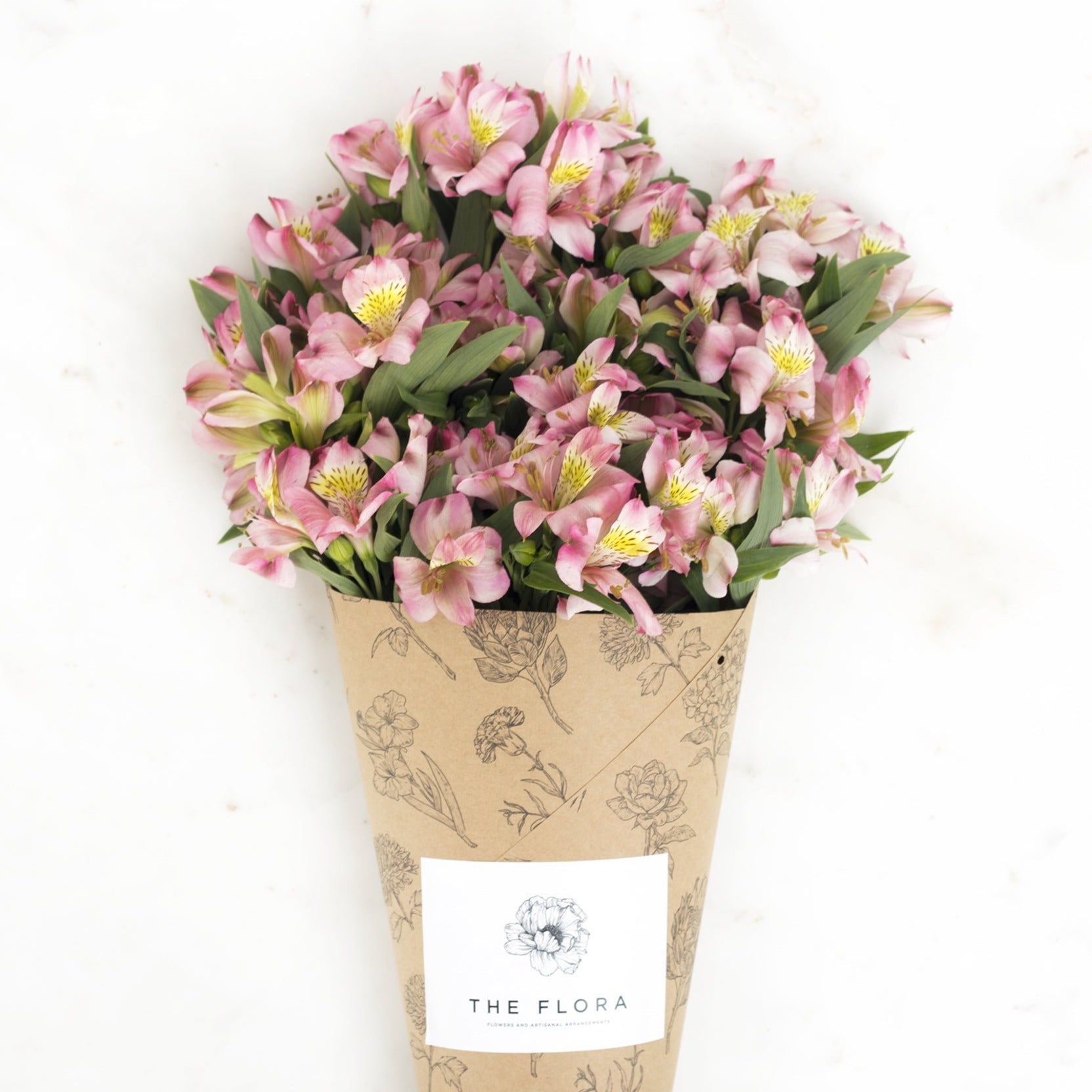 Subscribe to Cut Flowers - PREMIUM //Delhi