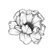 The Flora logo