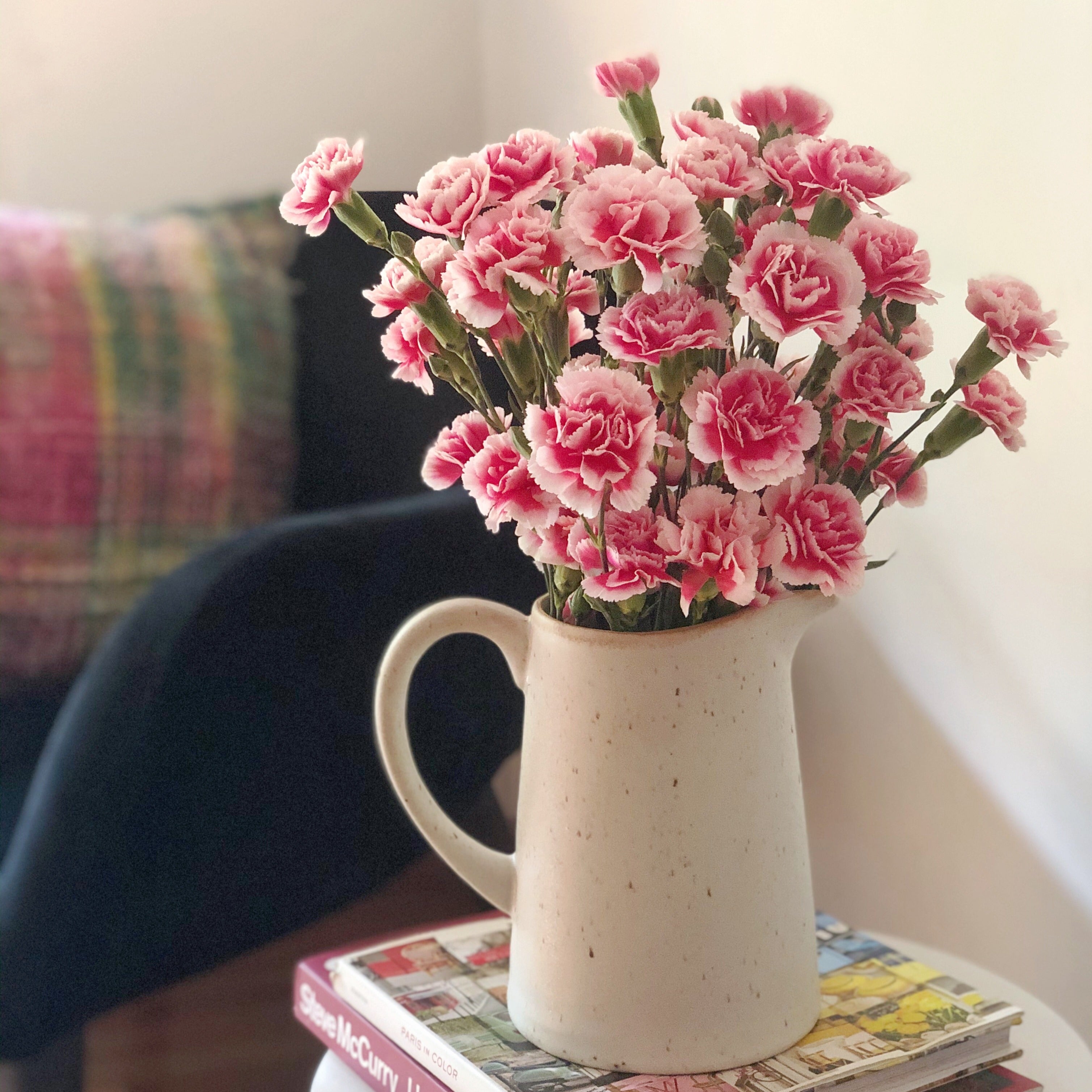 Spray Carnations