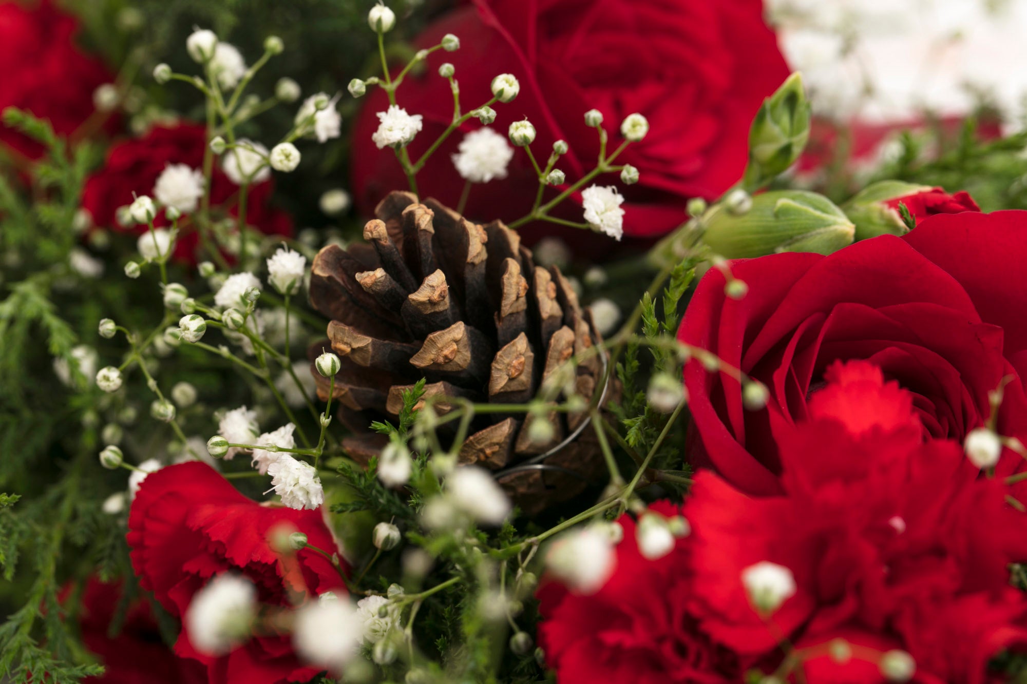 Holly Herald Wreath