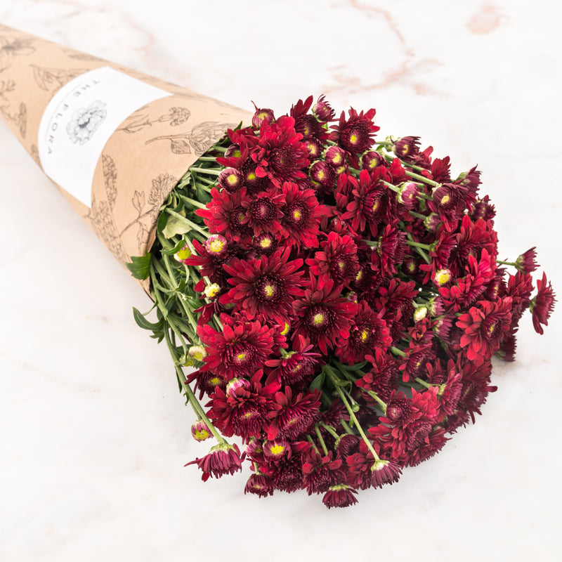 Order Chrysanthemum Online - Send flowers and arrangements - bangalore –  The Flora