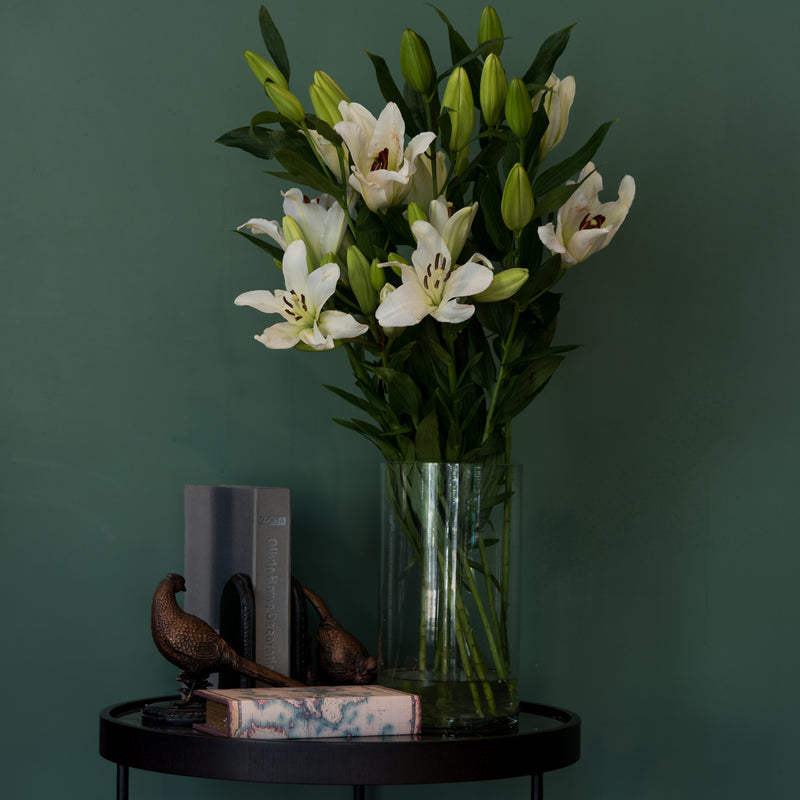Shop Lucky Angel Lily Bulbs | Oriental Lilies | Breck's