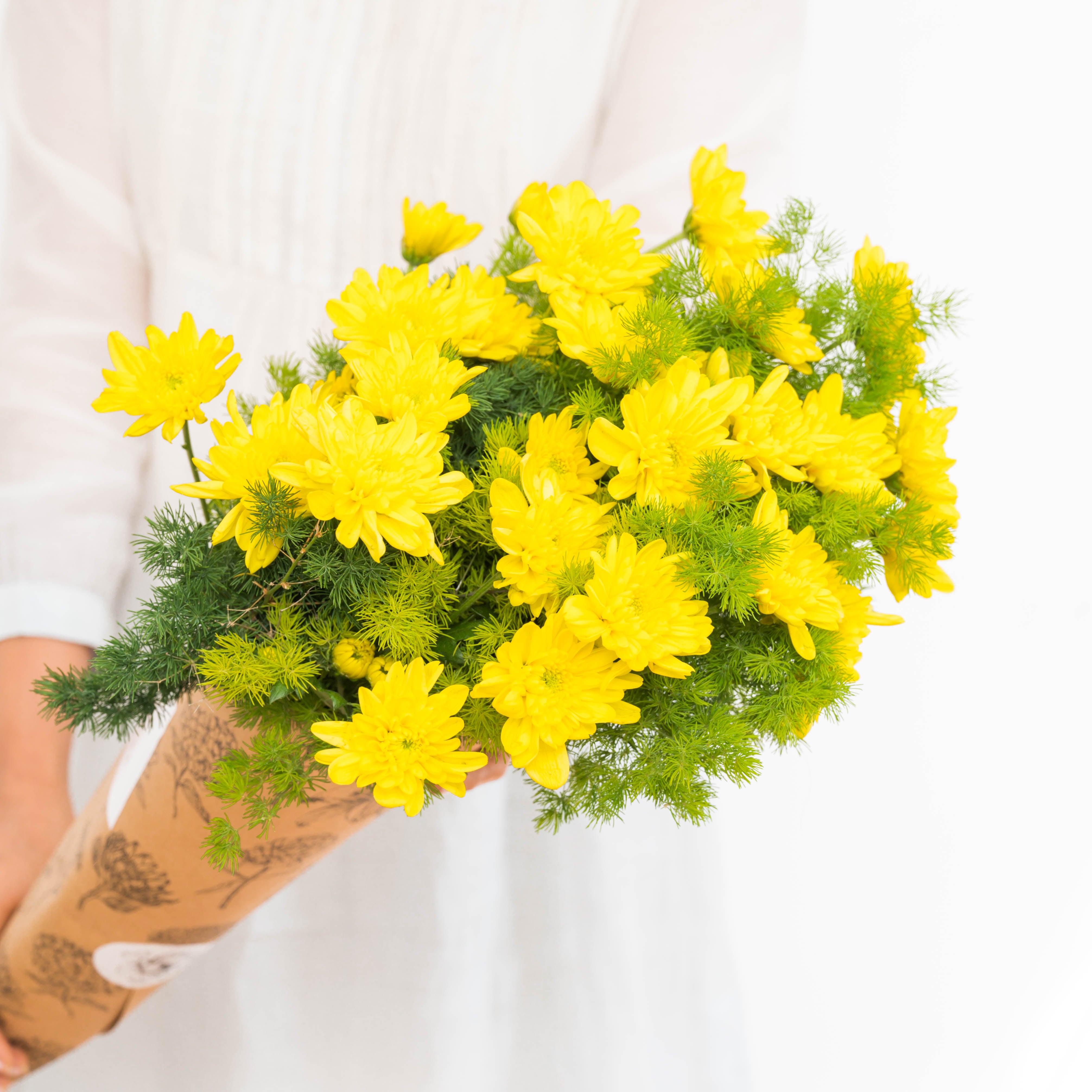 Subscribe to Cut Flowers WITH FILLERS - Premium Plus