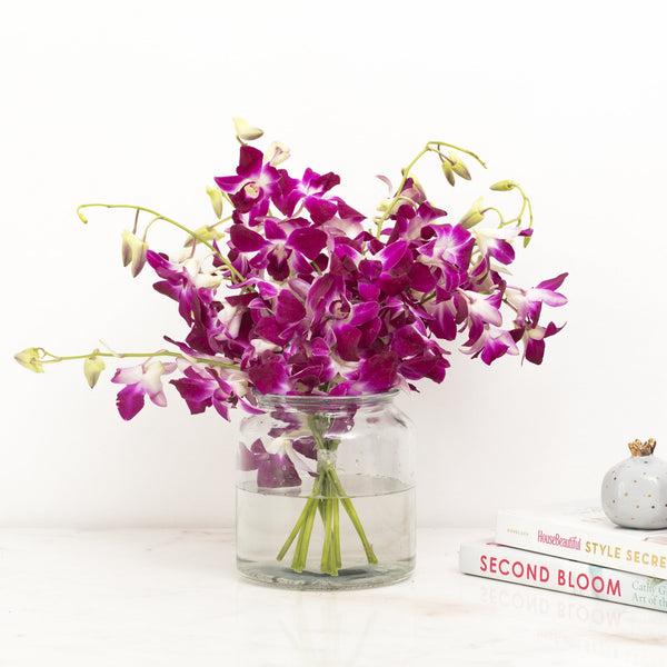 Order Orchids online across Bangalore - The Flora - Same day delivery