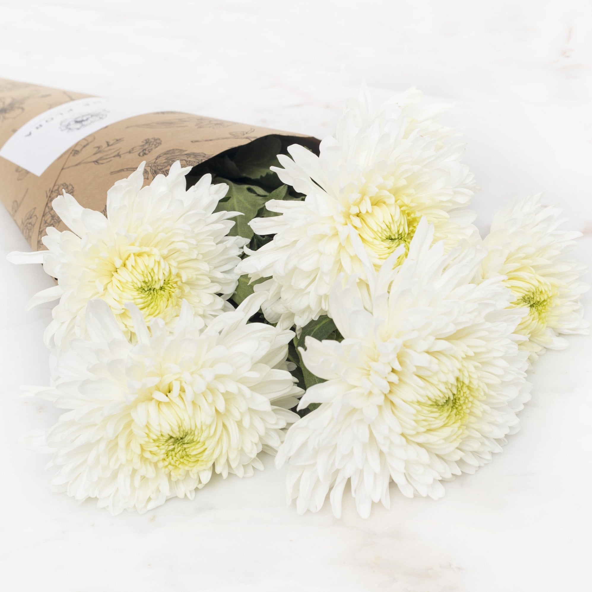 Disbud Chrysanthemums